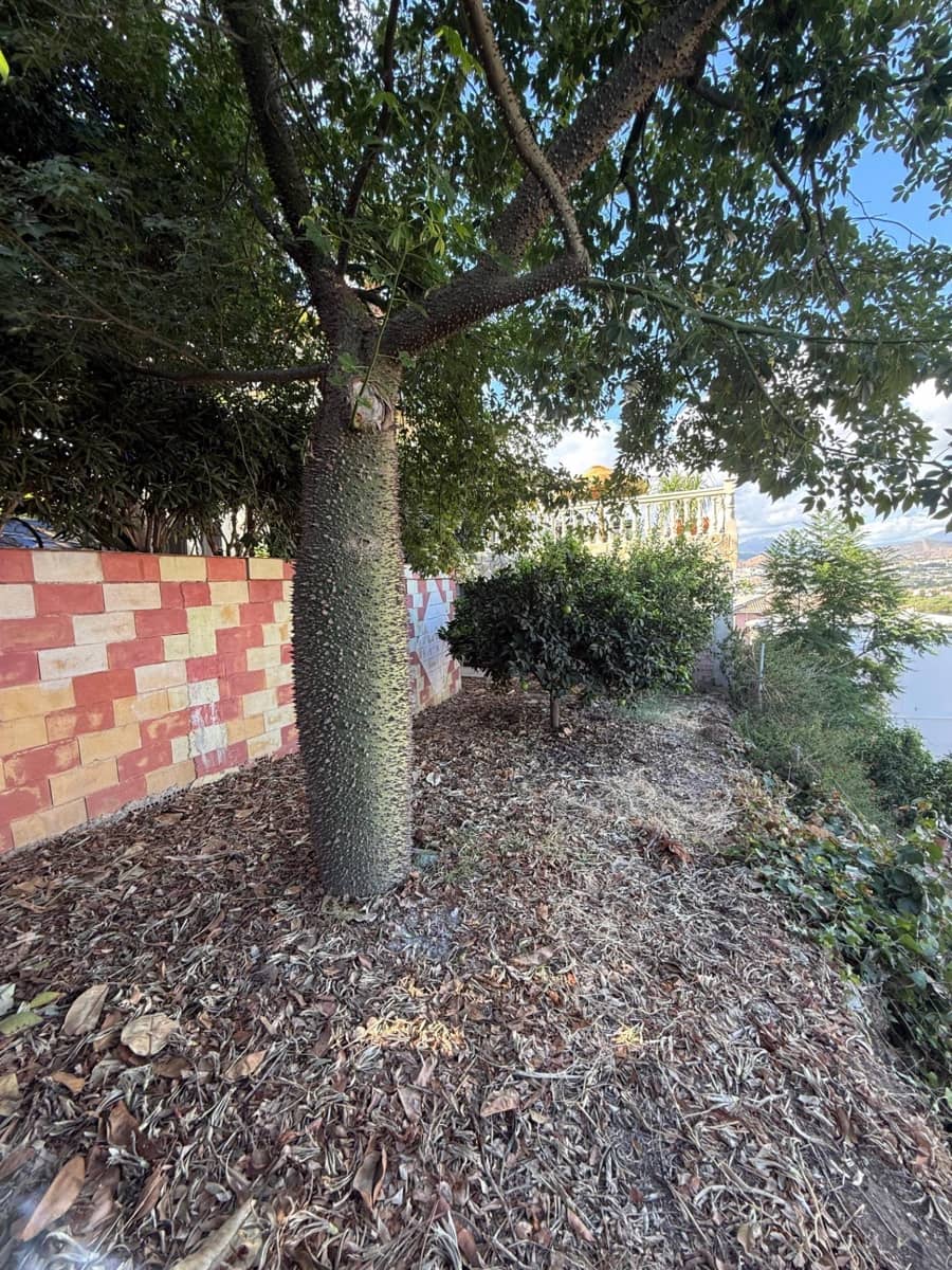 7 soveværelse Villa til salg i Coin - € 1.400.000 (Ref: 9243253)