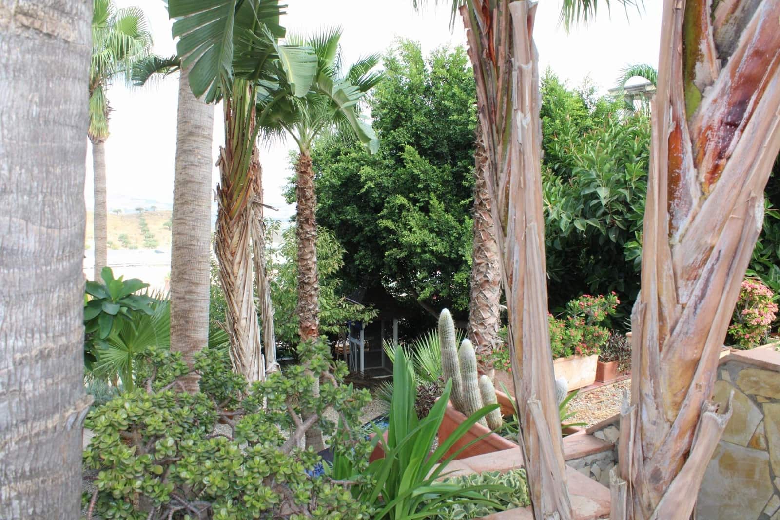 7 soveværelse Villa til salg i Coin - € 1.400.000 (Ref: 9243253)