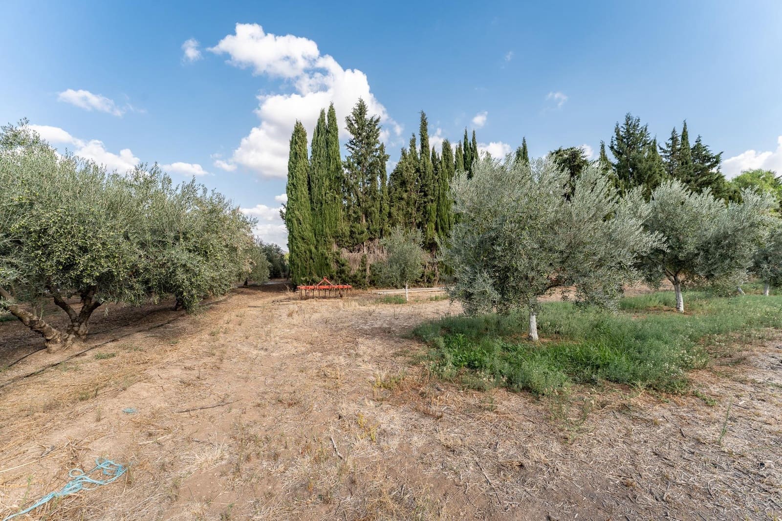 5 bedroom Villa for sale in Antequera with pool garage - € 340,000 (Ref: 9269974)