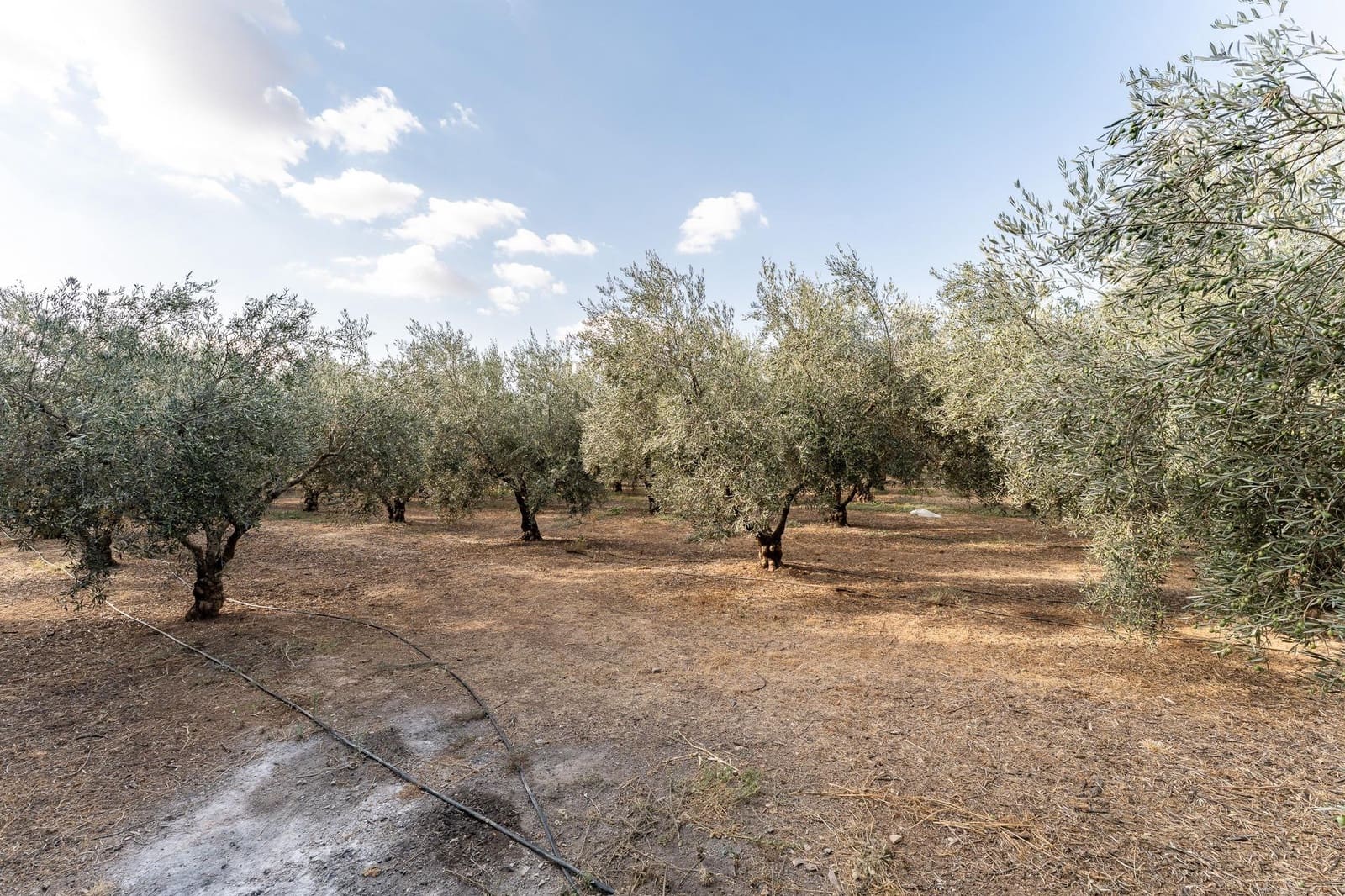 5 bedroom Villa for sale in Antequera with pool garage - € 340,000 (Ref: 9269974)