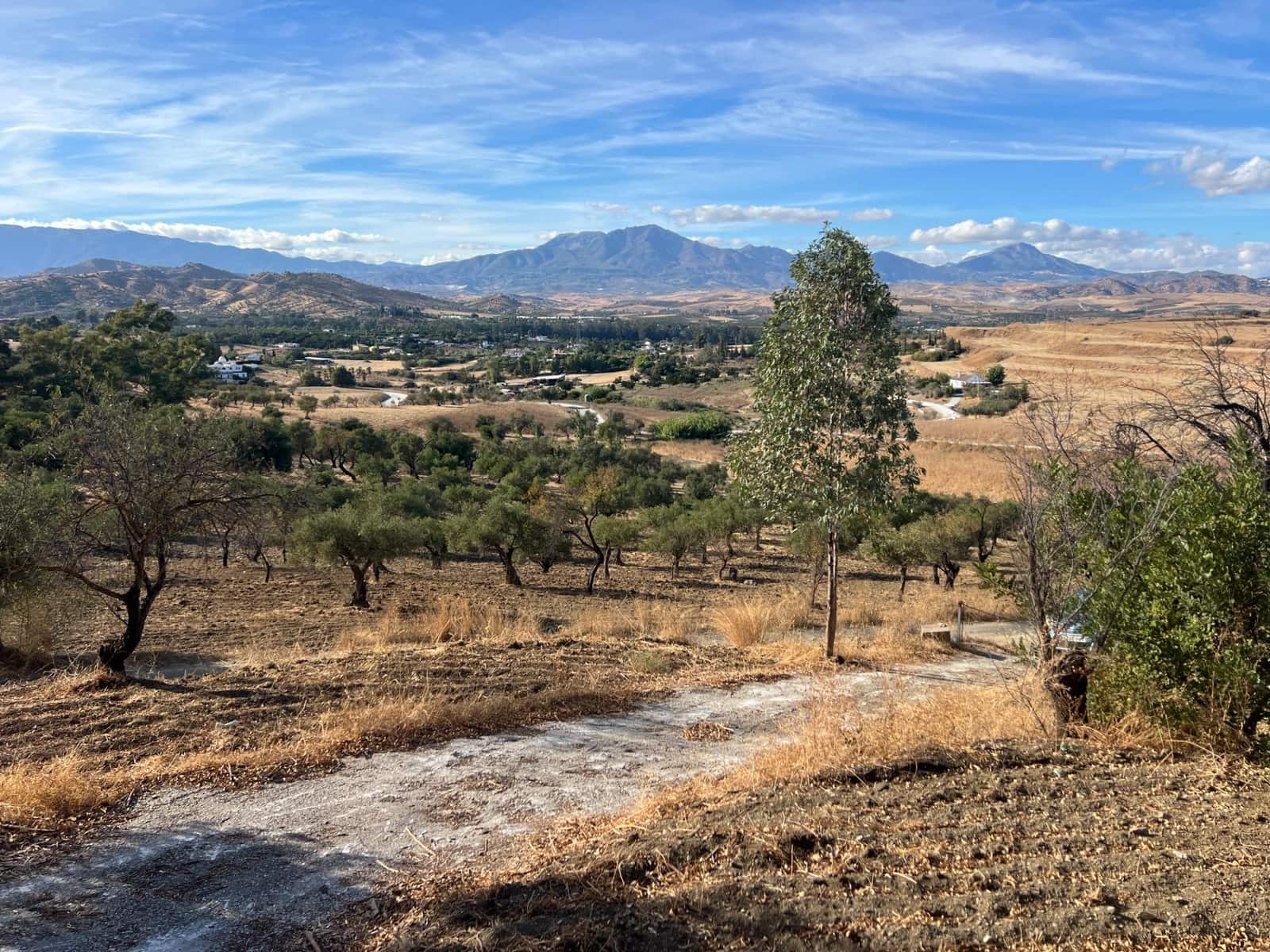 1 bedroom Finca/Country House for sale in Coin with pool - € 230,000 (Ref: 9330870)