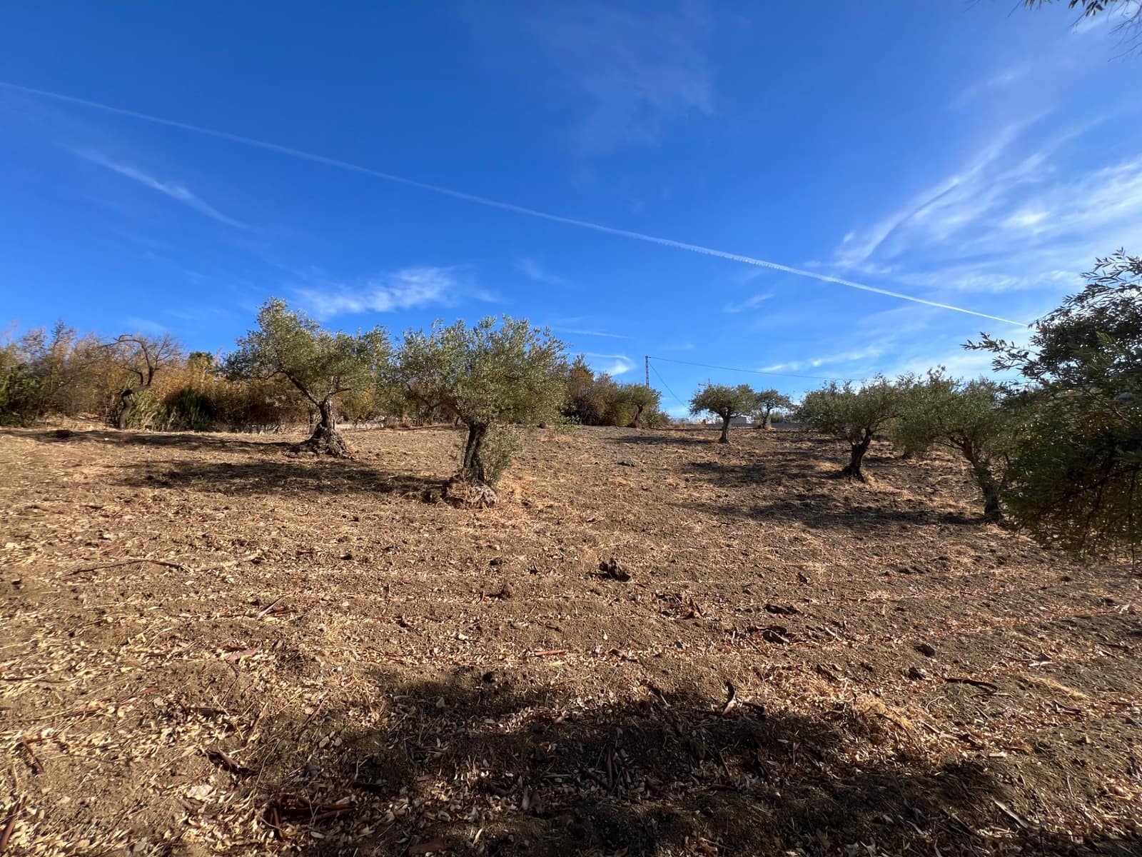 1 bedroom Finca/Country House for sale in Coin with pool - € 230,000 (Ref: 9330870)