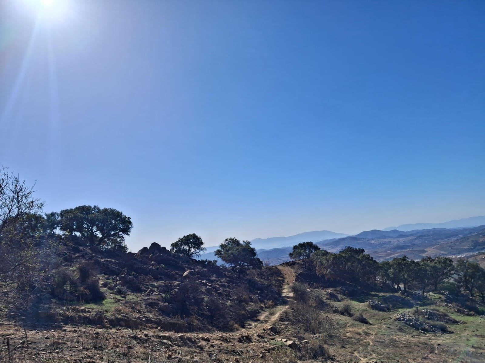 Mark till salu i Villanueva de la Concepcion - 108 000 € (Ref: 9391987)