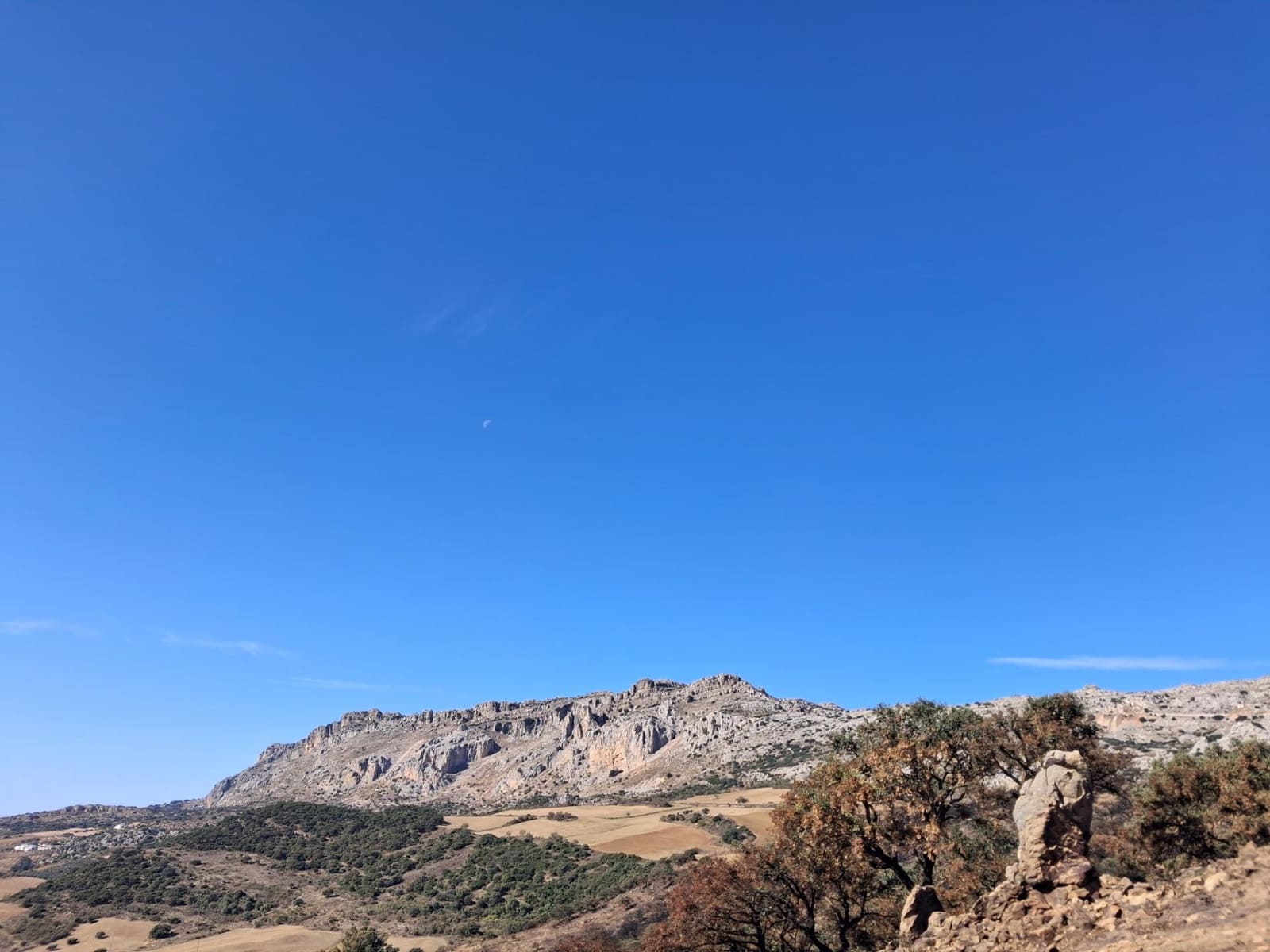 Mark till salu i Villanueva de la Concepcion - 108 000 € (Ref: 9391987)