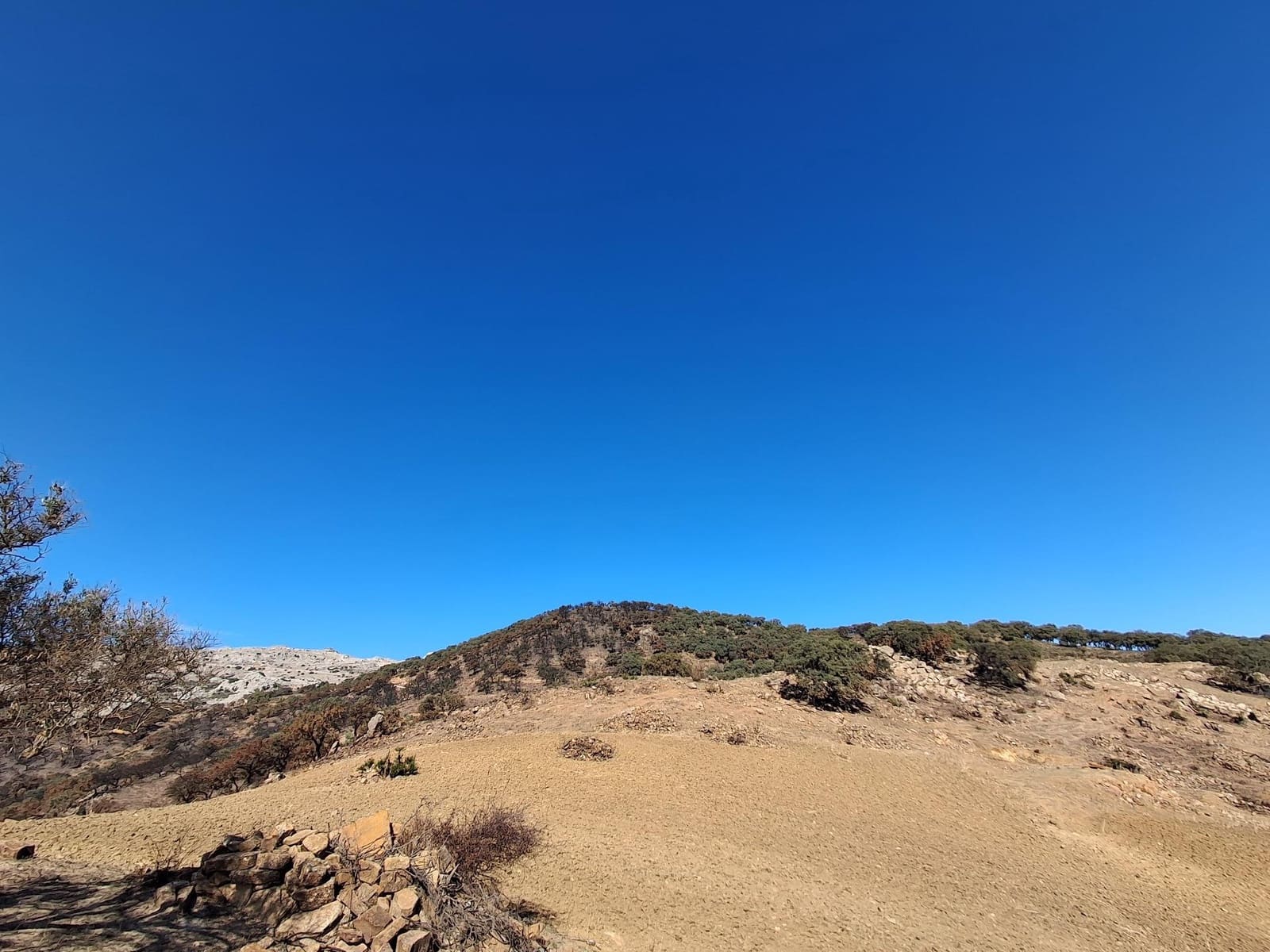 Mark till salu i Villanueva de la Concepcion - 108 000 € (Ref: 9391987)