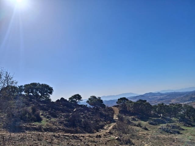 Mark till salu i Villanueva de la Concepcion - 108 000 € (Ref: 9391987)