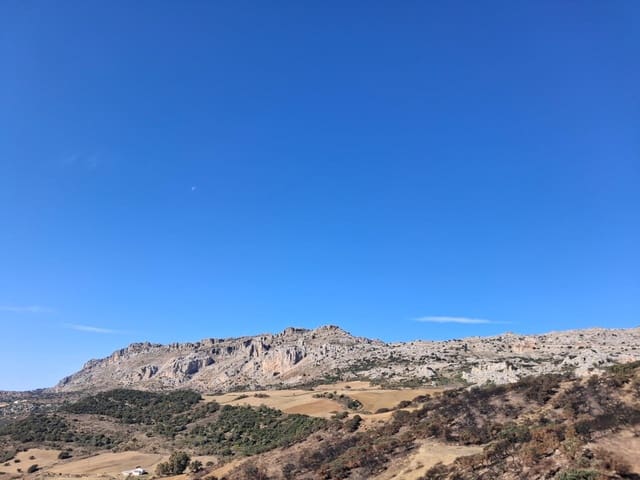 Mark till salu i Villanueva de la Concepcion - 108 000 € (Ref: 9391987)