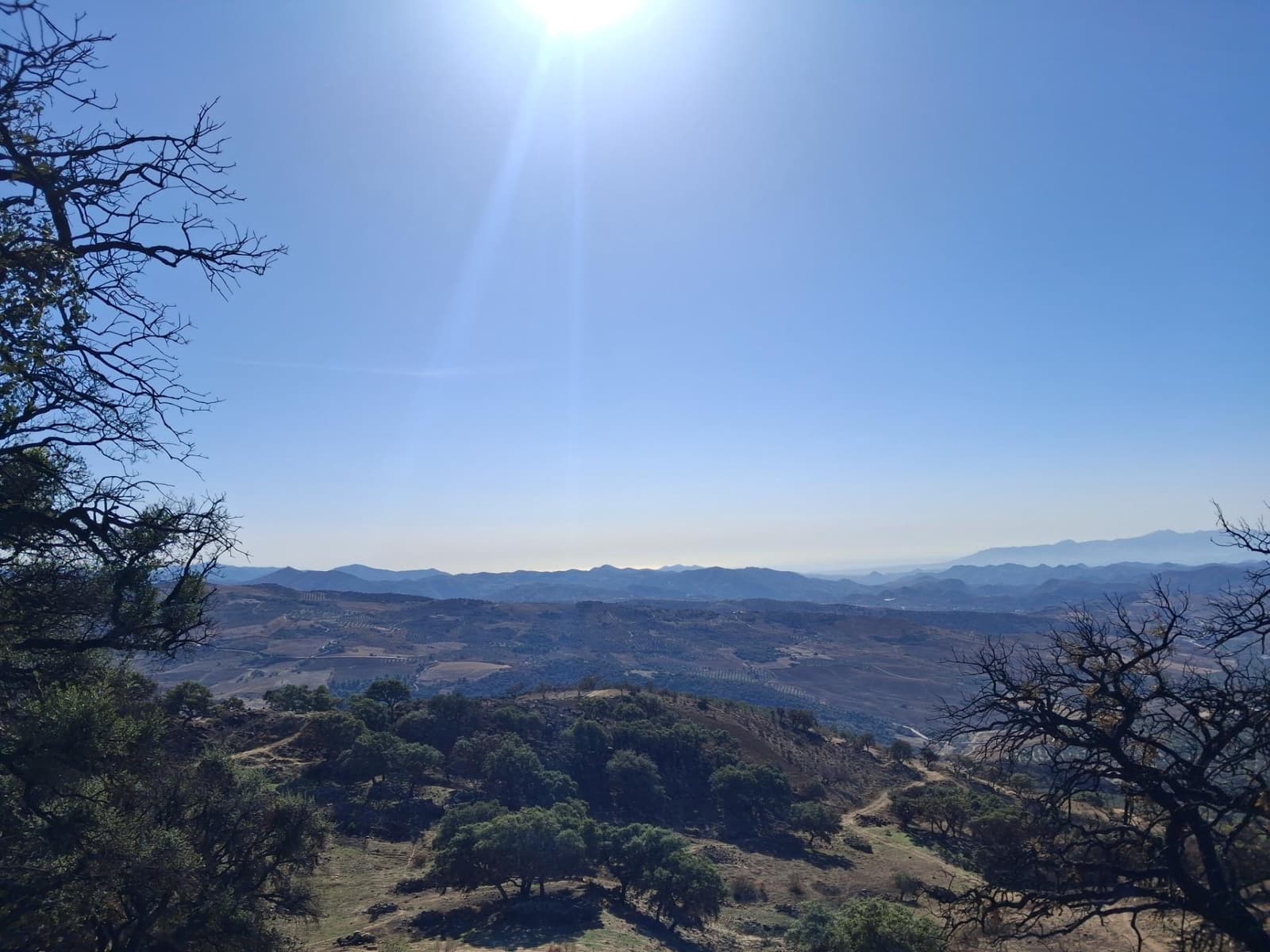 Mark till salu i Villanueva de la Concepcion - 108 000 € (Ref: 9391987)