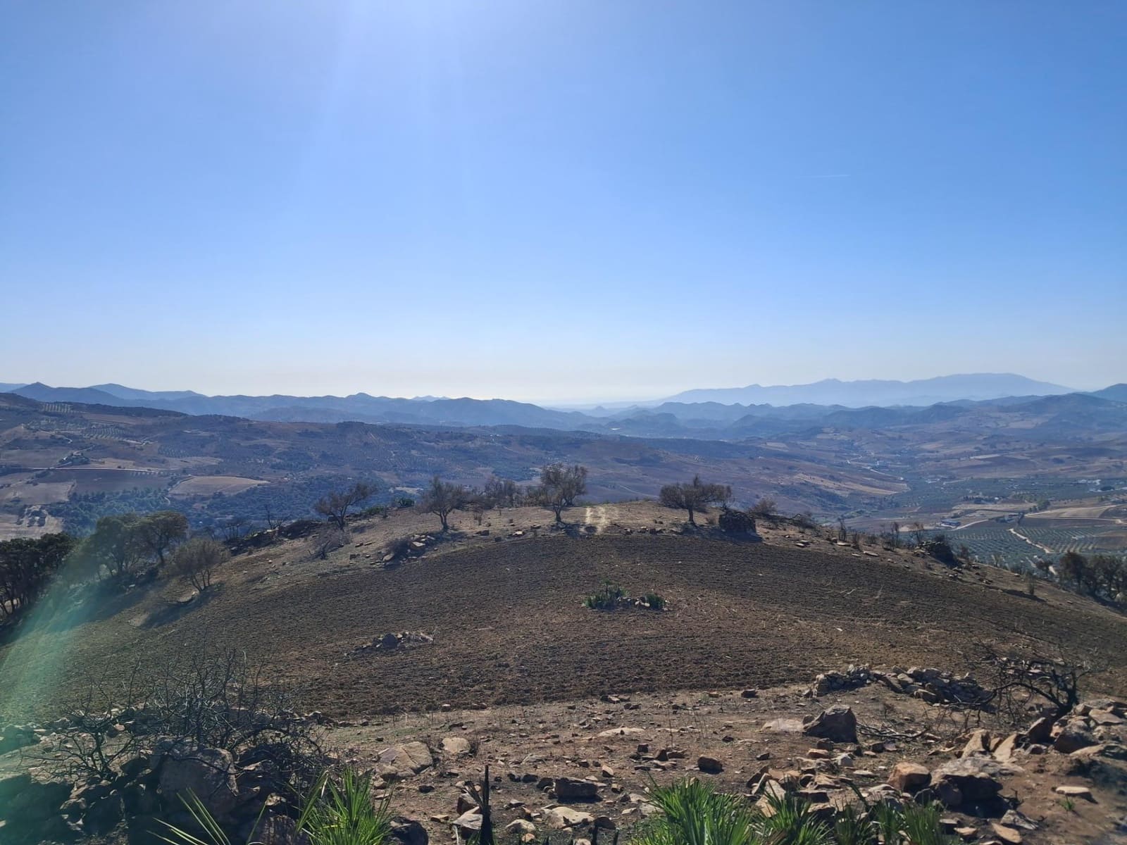 Mark till salu i Villanueva de la Concepcion - 108 000 € (Ref: 9391987)