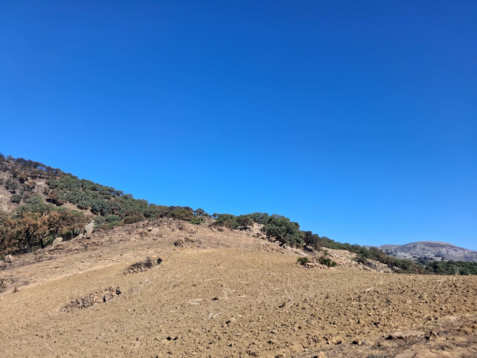 Mark till salu i Villanueva de la Concepcion - 108 000 € (Ref: 9391987)