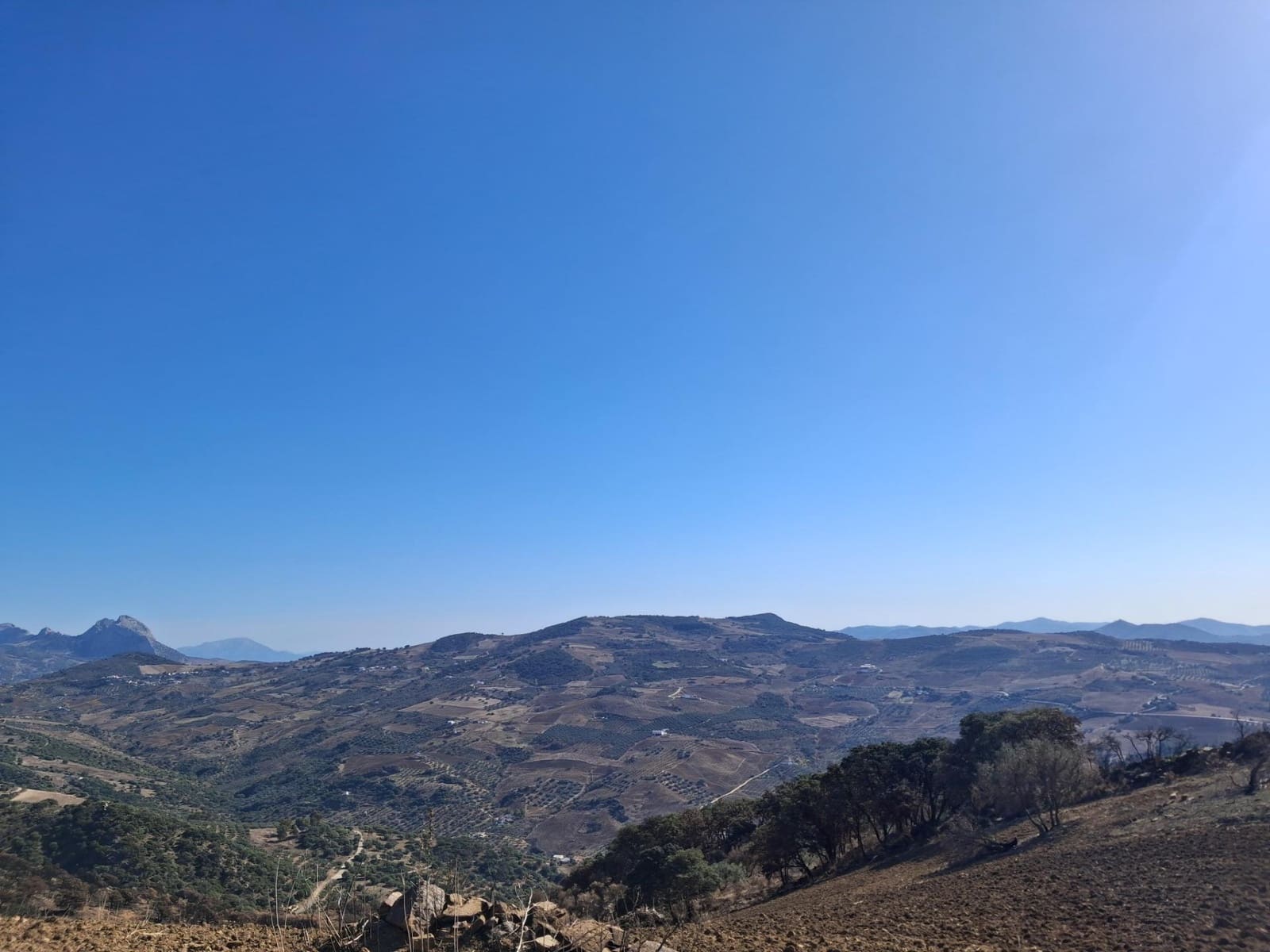 Mark till salu i Villanueva de la Concepcion - 108 000 € (Ref: 9391987)