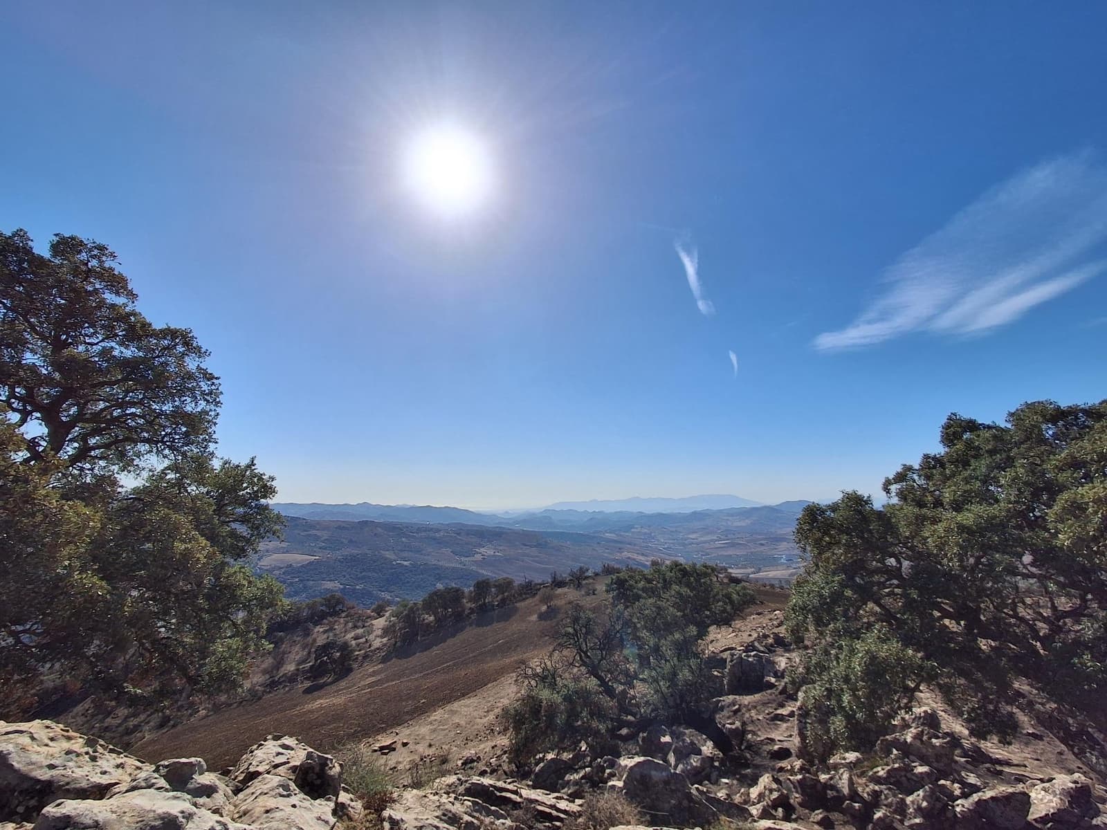 Mark till salu i Villanueva de la Concepcion - 108 000 € (Ref: 9391987)