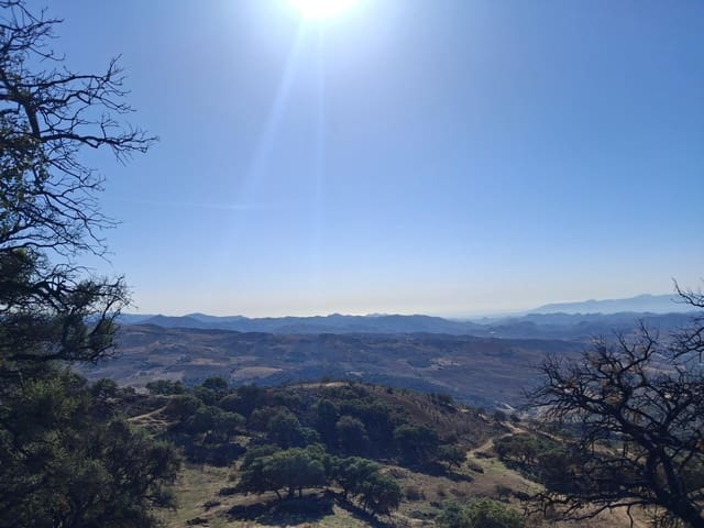 Mark till salu i Villanueva de la Concepcion - 108 000 € (Ref: 9391987)