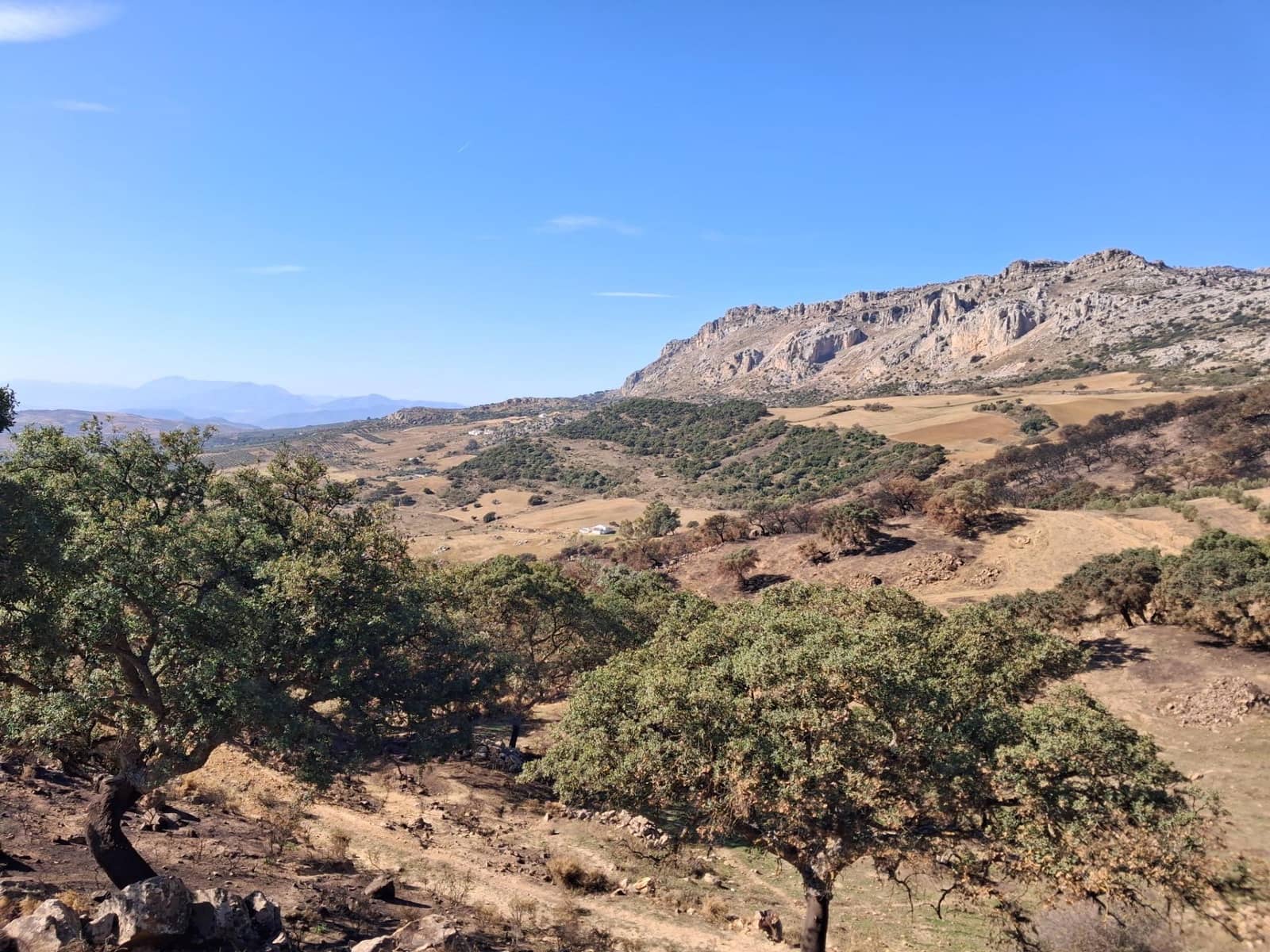 Mark till salu i Villanueva de la Concepcion - 108 000 € (Ref: 9391987)