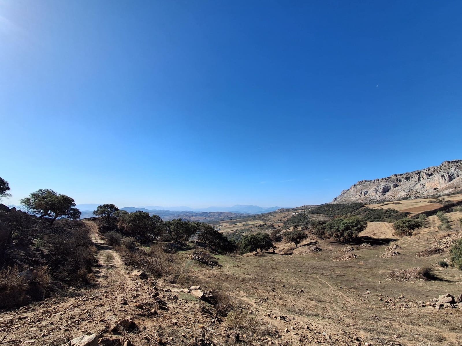 Mark till salu i Villanueva de la Concepcion - 108 000 € (Ref: 9391987)