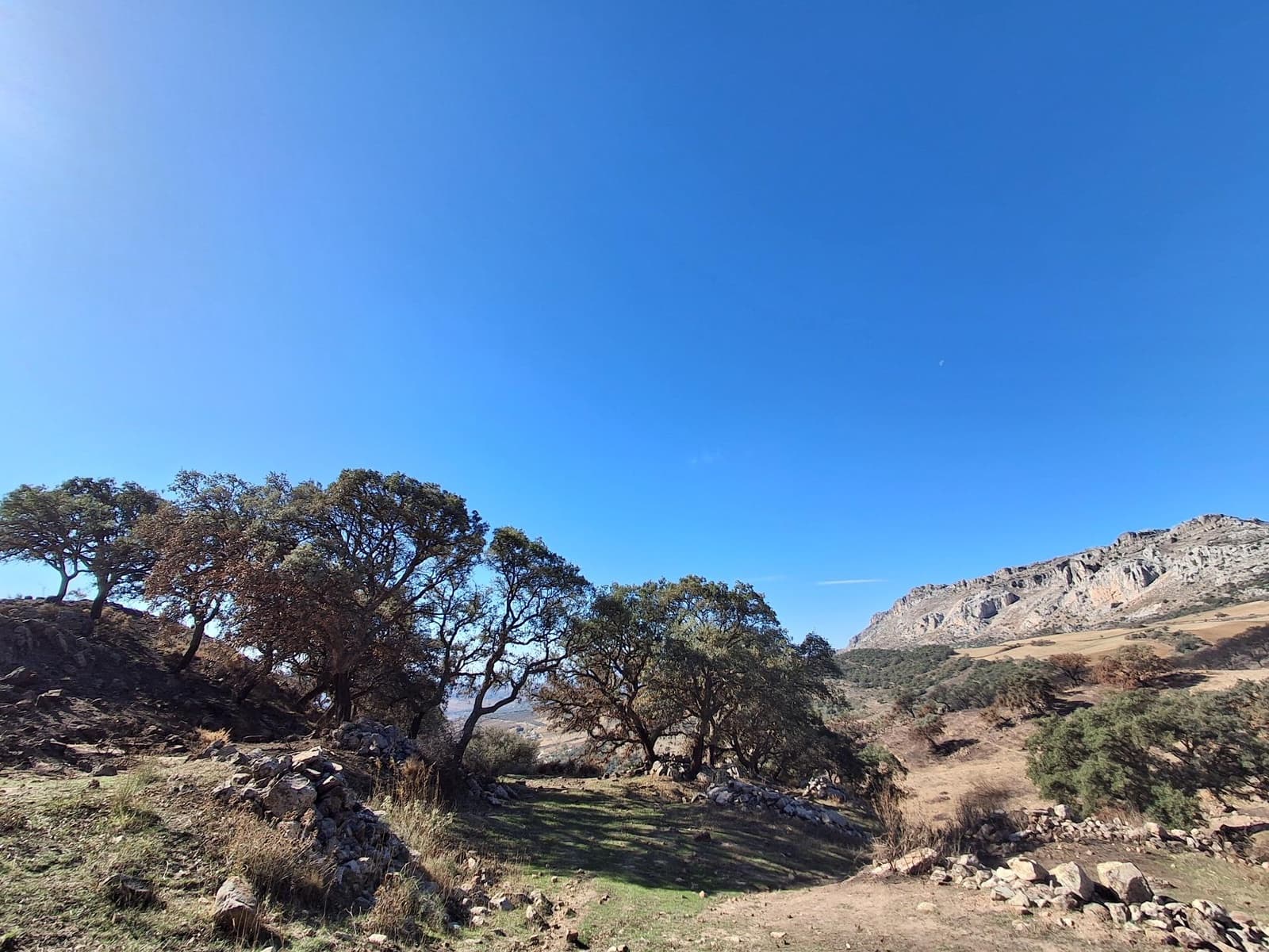 Mark till salu i Villanueva de la Concepcion - 108 000 € (Ref: 9391987)