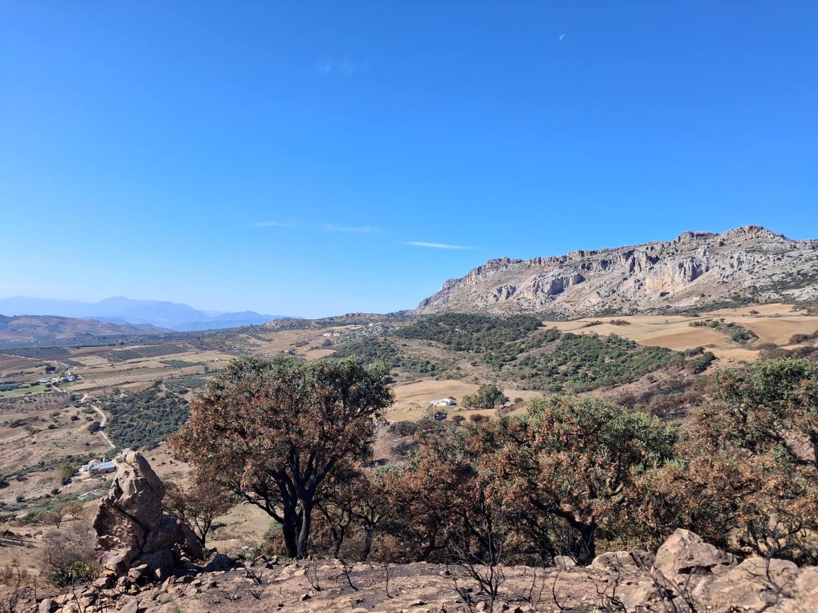 Mark till salu i Villanueva de la Concepcion - 108 000 € (Ref: 9391987)