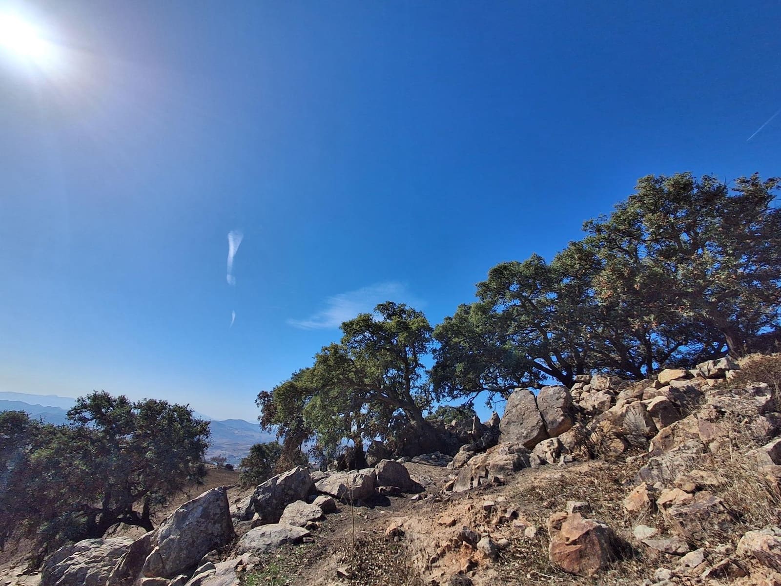 Mark till salu i Villanueva de la Concepcion - 108 000 € (Ref: 9391987)