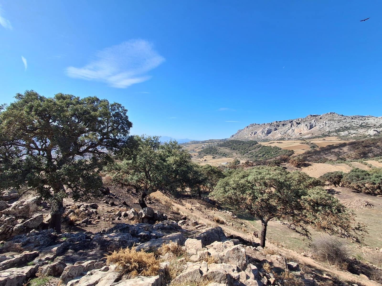 Mark till salu i Villanueva de la Concepcion - 108 000 € (Ref: 9391987)