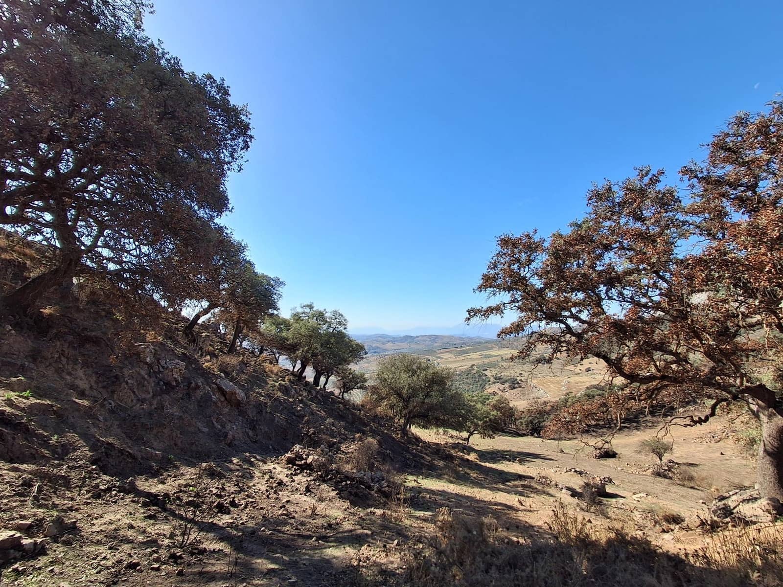 Mark till salu i Villanueva de la Concepcion - 108 000 € (Ref: 9391987)