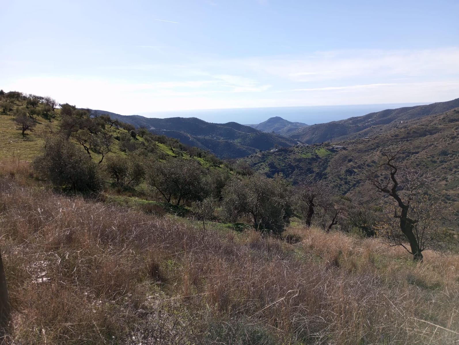 Undeveloped Land for sale in Totalan - € 28,000 (Ref: 9485348)