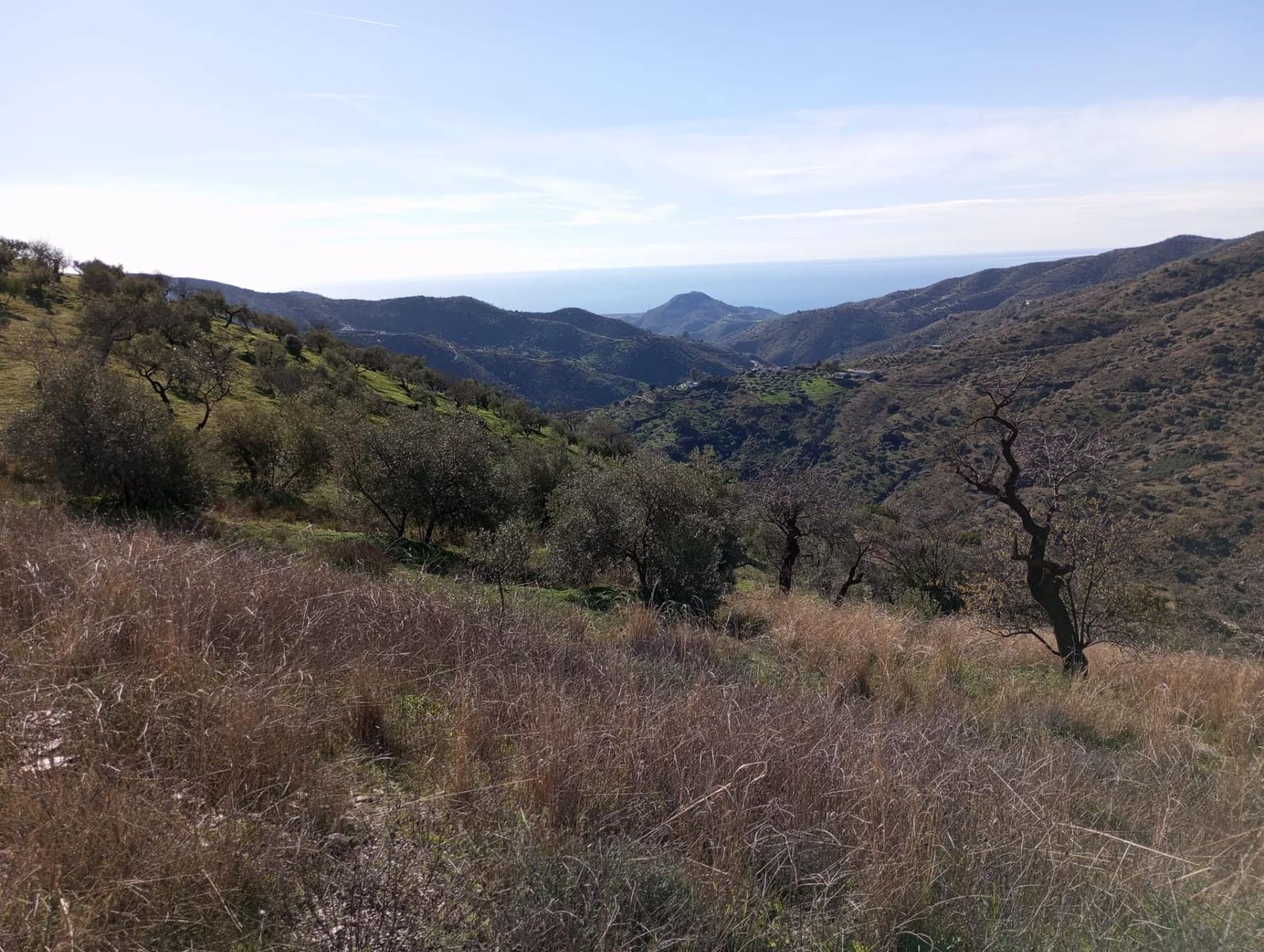 Undeveloped Land for sale in Totalan - € 28,000 (Ref: 9485348)