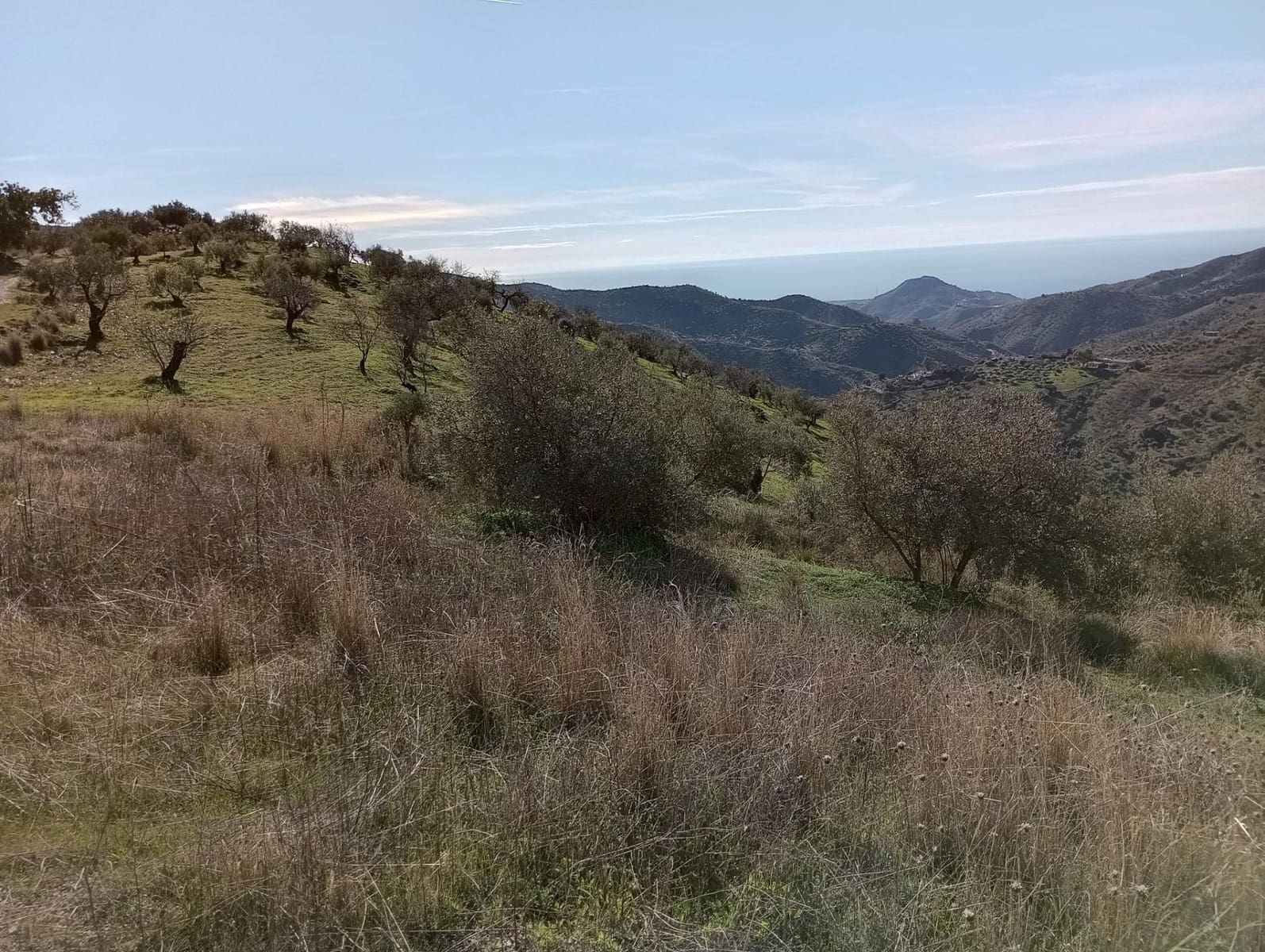 Undeveloped Land for sale in Totalan - € 28,000 (Ref: 9485348)