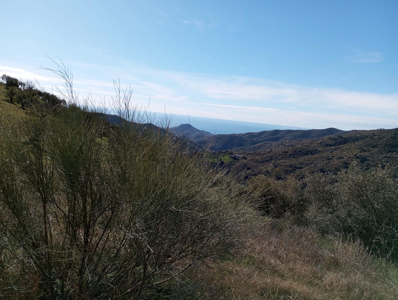 Undeveloped Land for sale in Totalan - € 28,000 (Ref: 9485348)