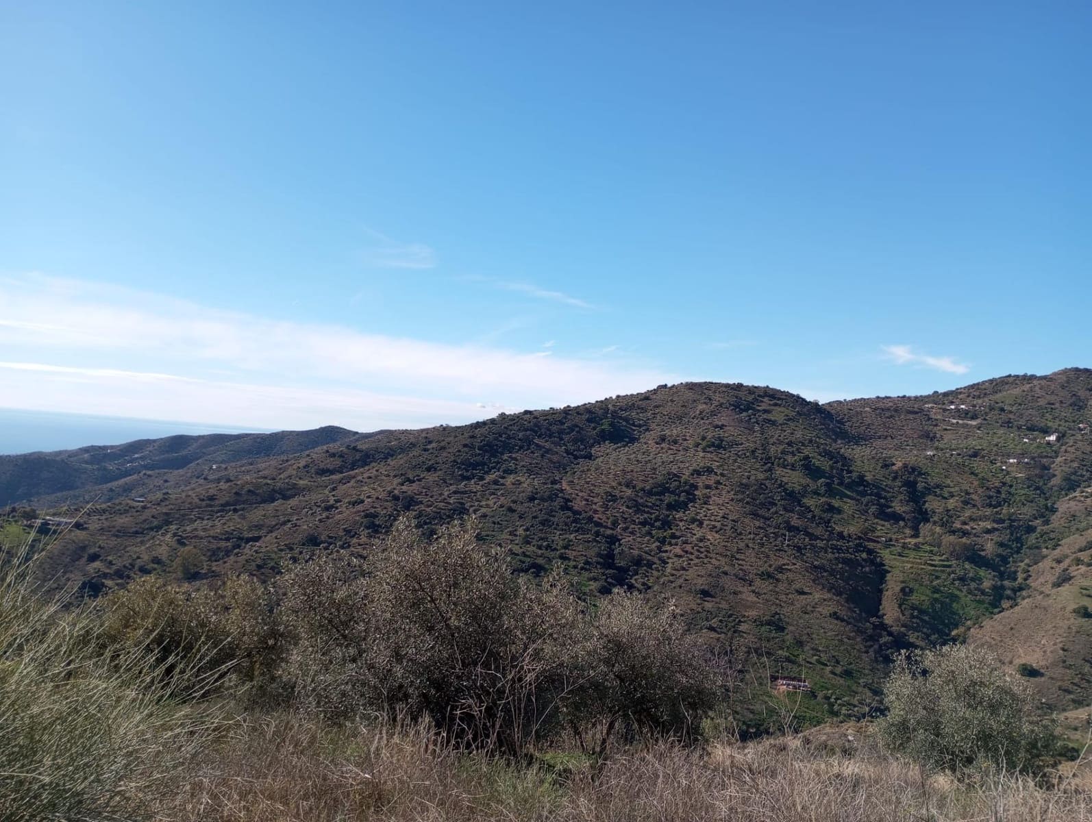 Undeveloped Land for sale in Totalan - € 28,000 (Ref: 9485348)