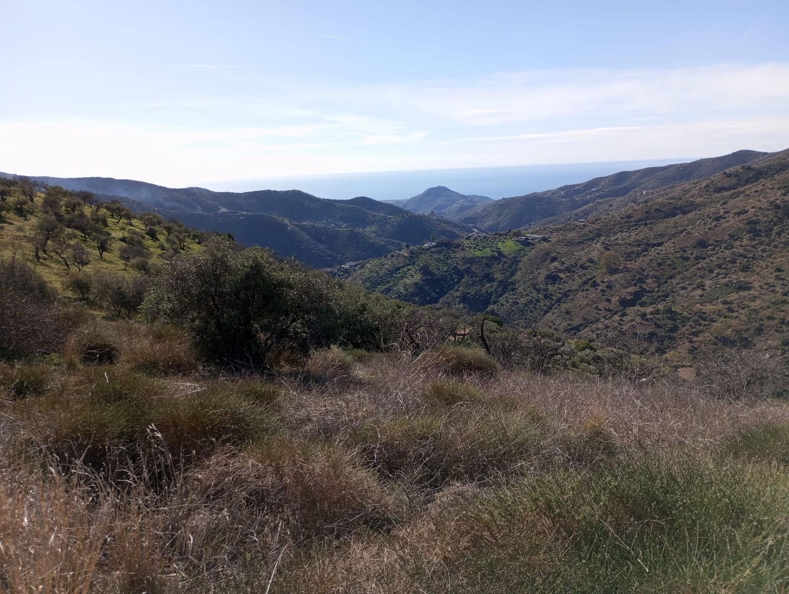 Undeveloped Land for sale in Totalan - € 28,000 (Ref: 9485348)