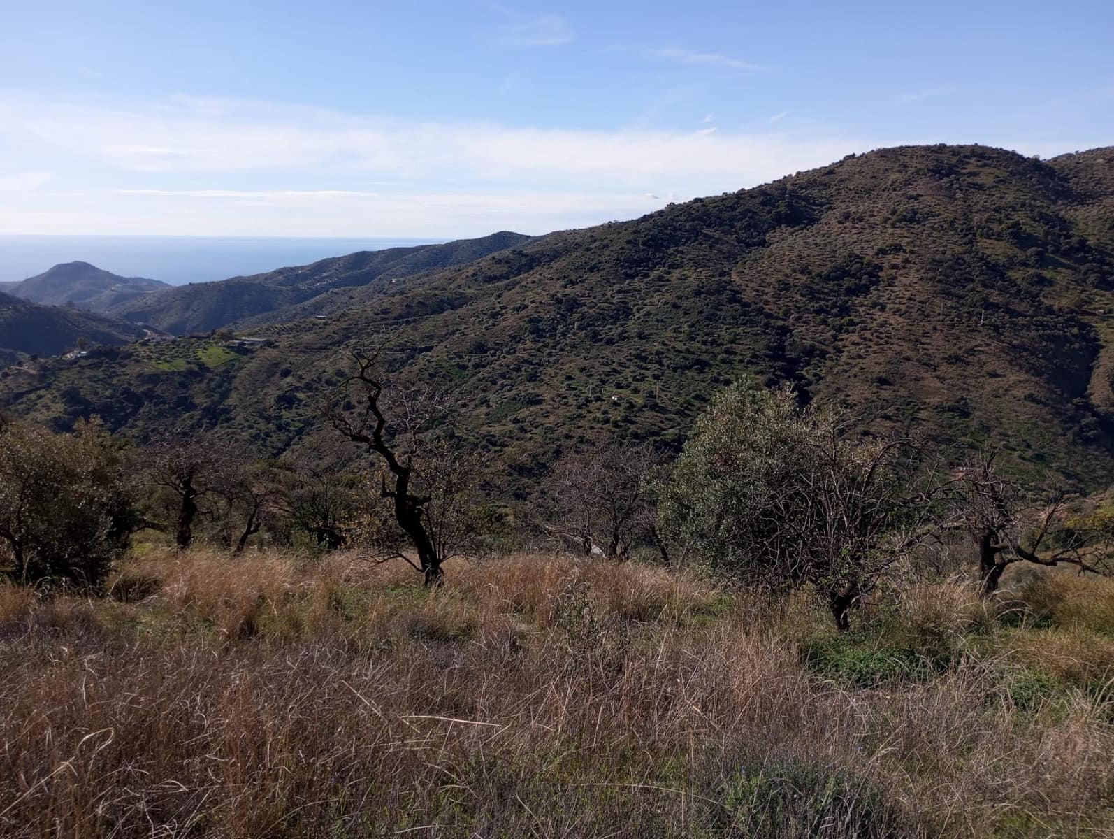 Undeveloped Land for sale in Totalan - € 28,000 (Ref: 9485348)