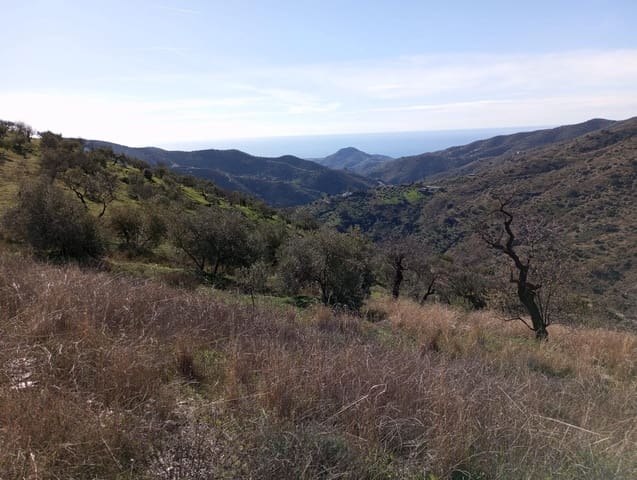 Undeveloped Land for sale in Totalán - € 28,000 (Ref: 9485348)