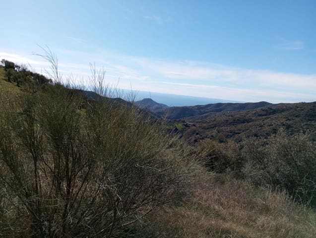 Undeveloped Land for sale in Totalán - € 28,000 (Ref: 9485348)