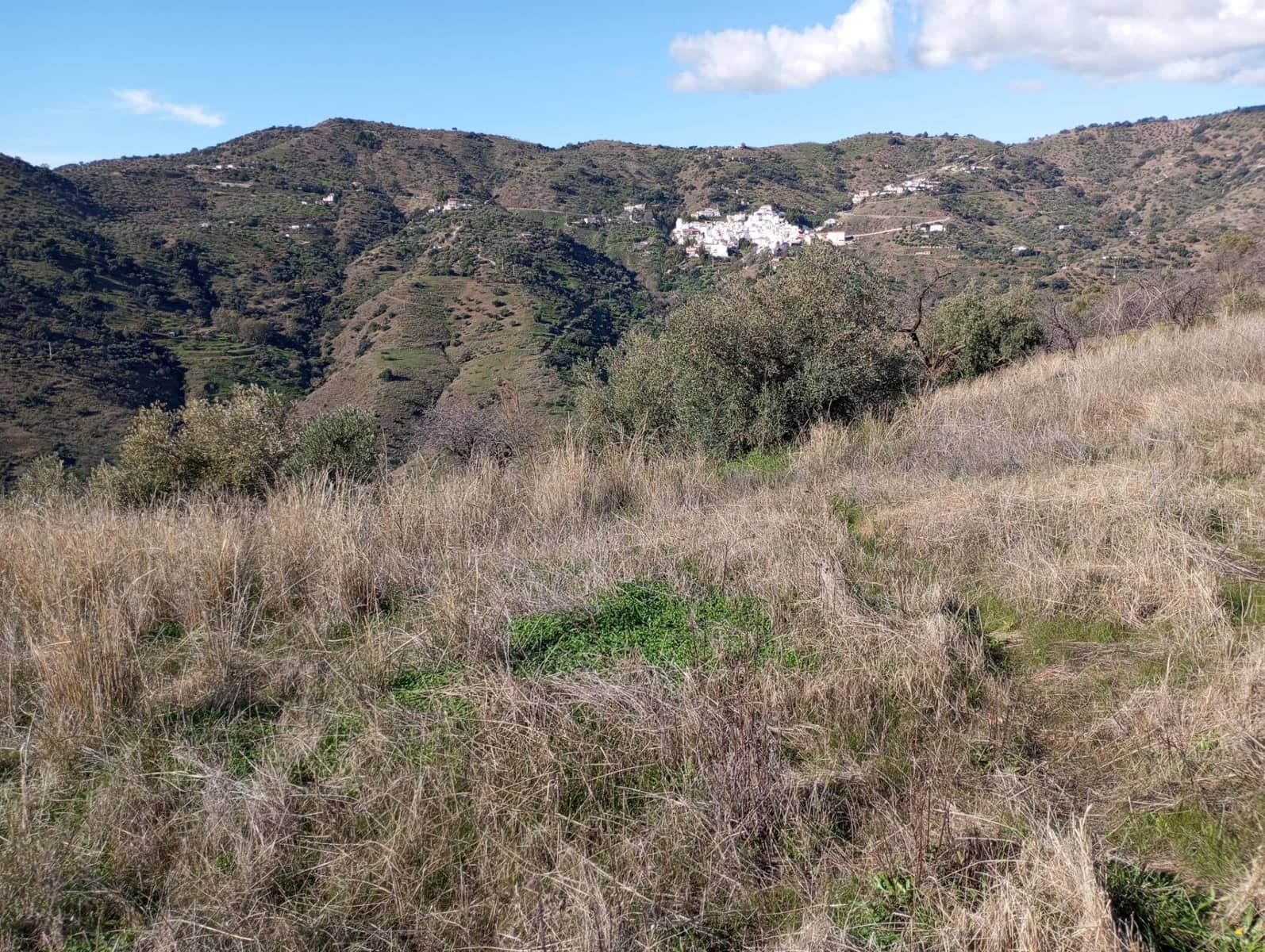 Undeveloped Land for sale in Totalan - € 28,000 (Ref: 9485348)