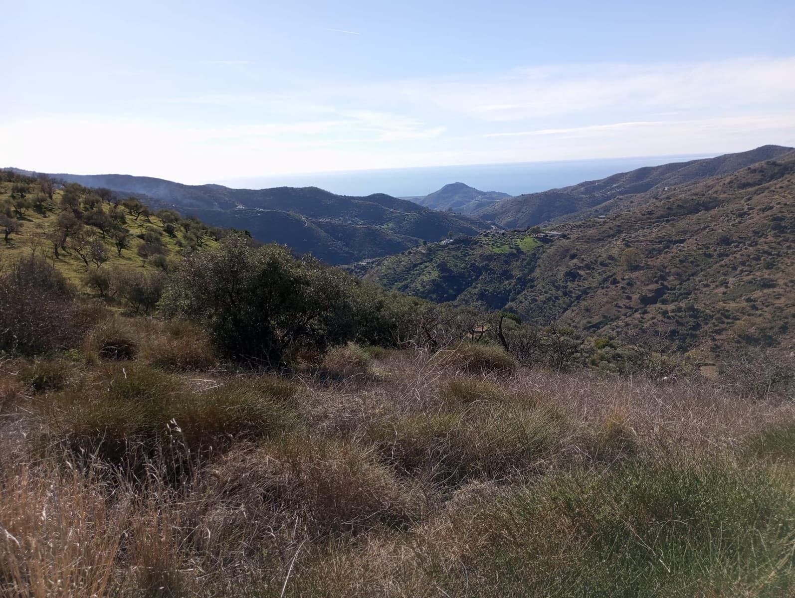 Undeveloped Land for sale in Totalan - € 28,000 (Ref: 9485348)