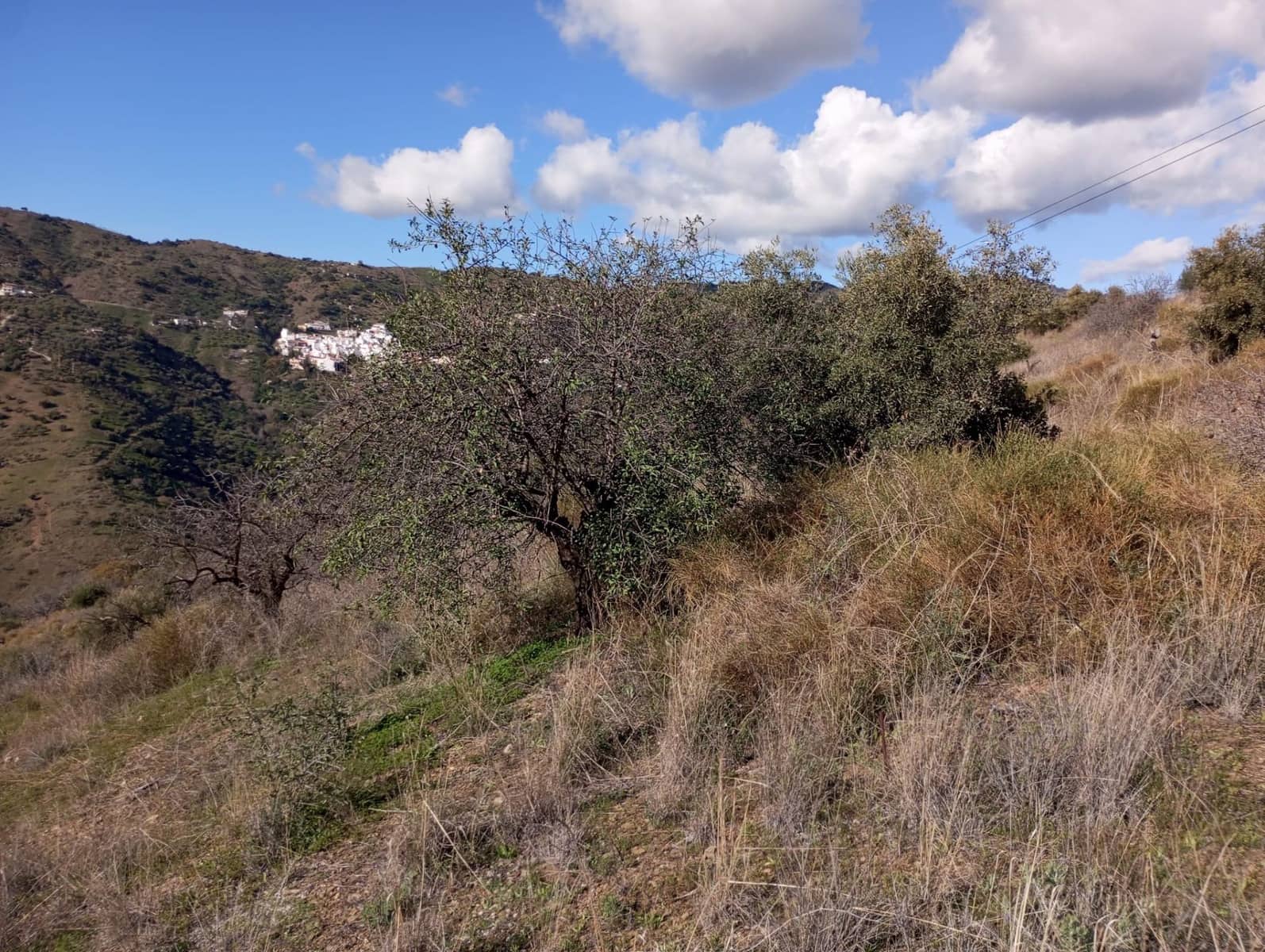 Undeveloped Land for sale in Totalan - € 28,000 (Ref: 9485348)