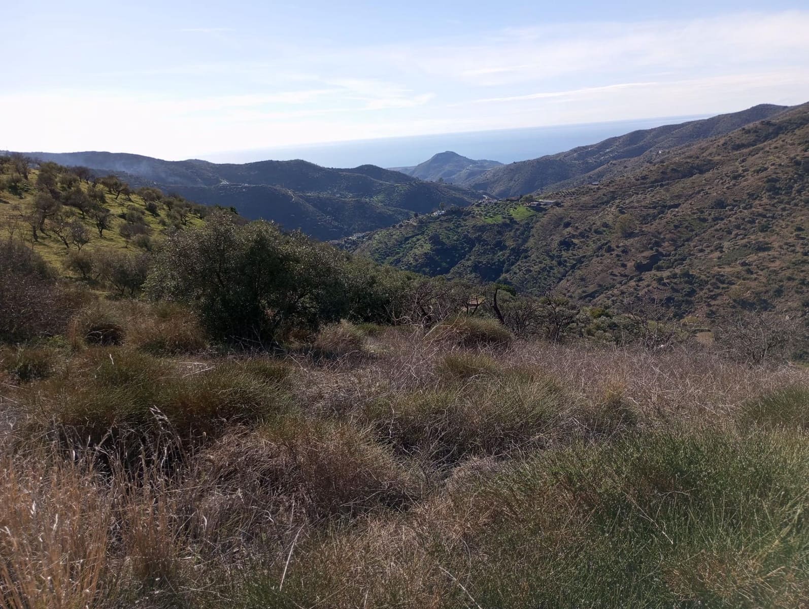 Undeveloped Land for sale in Totalan - € 28,000 (Ref: 9485348)