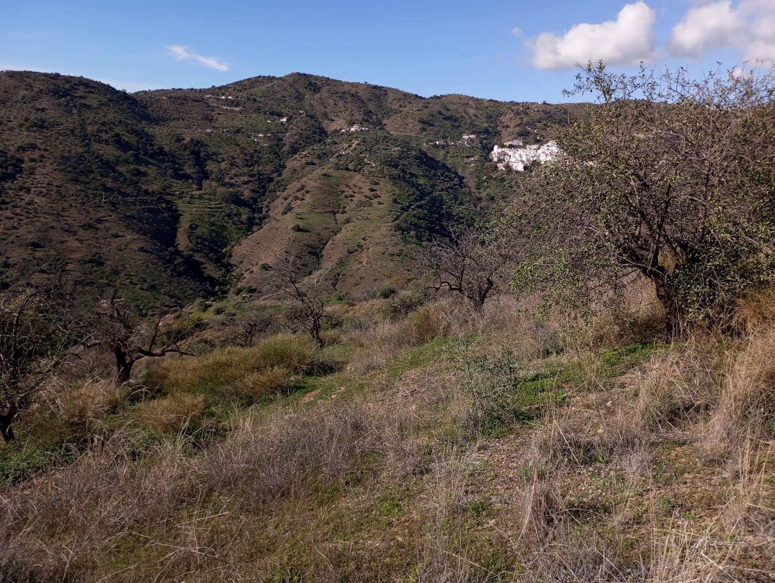 Undeveloped Land for sale in Totalan - € 28,000 (Ref: 9485348)