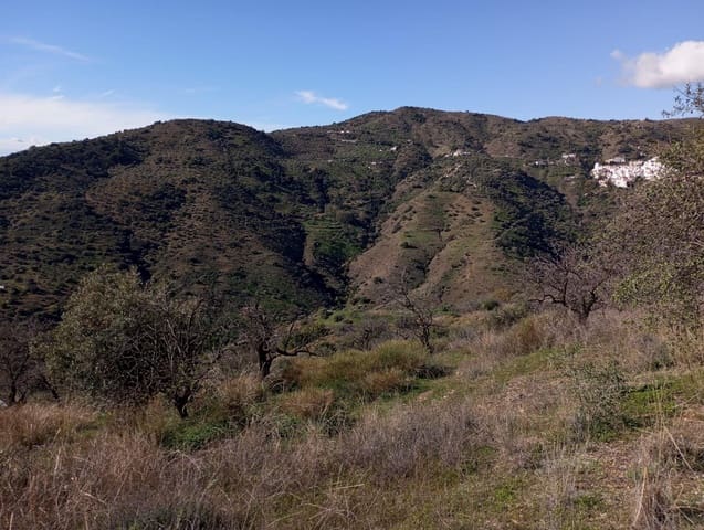 Undeveloped Land for sale in Totalán - € 28,000 (Ref: 9485348)