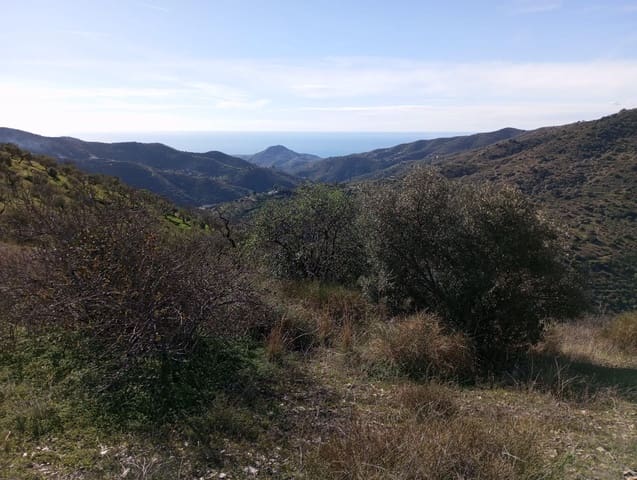 Undeveloped Land for sale in Totalán - € 28,000 (Ref: 9485348)