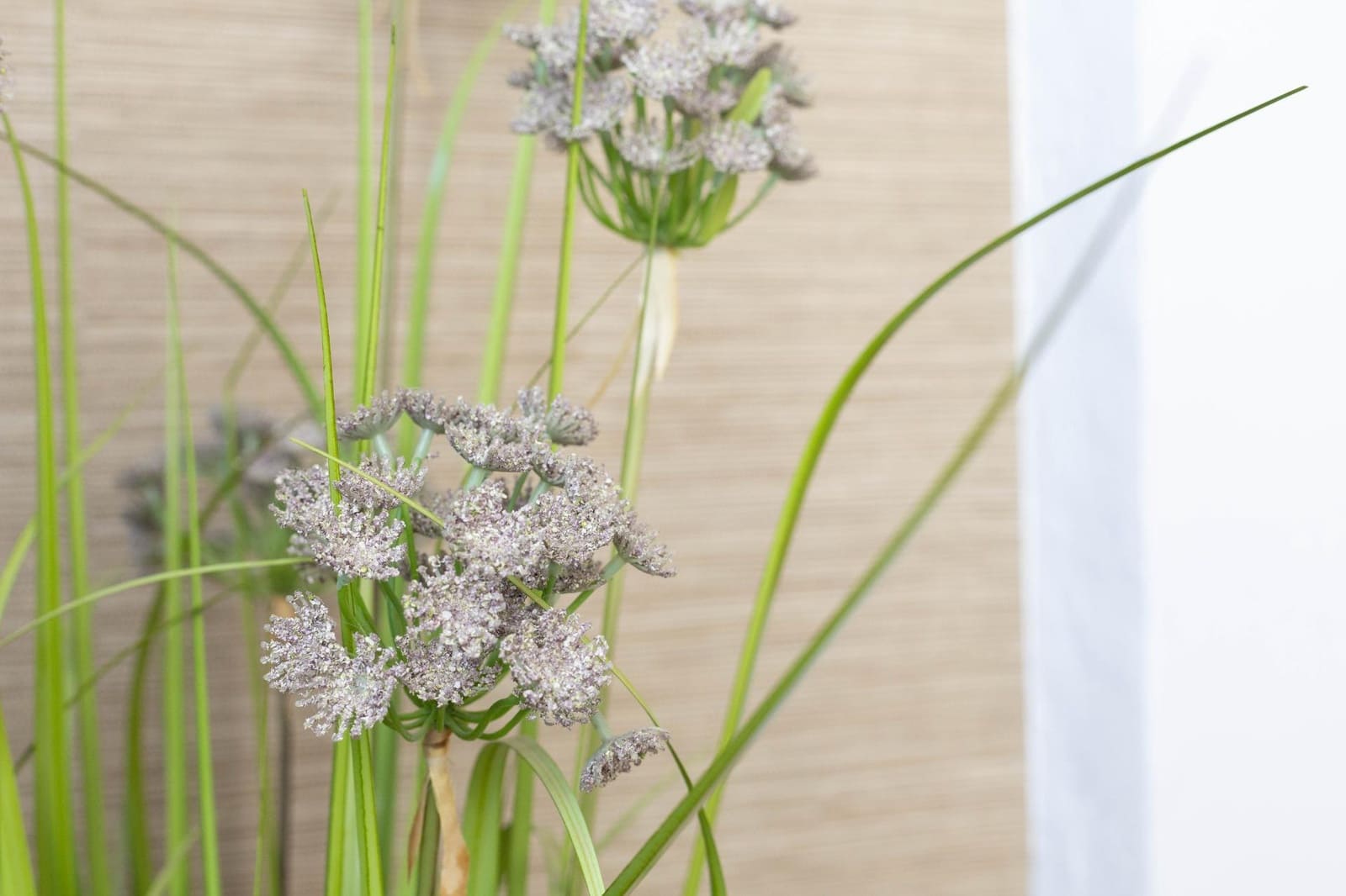 1 Zimmer Apartment zu verkaufen in Torremolinos mit Pool - 285.000 € (Ref: 9535226)