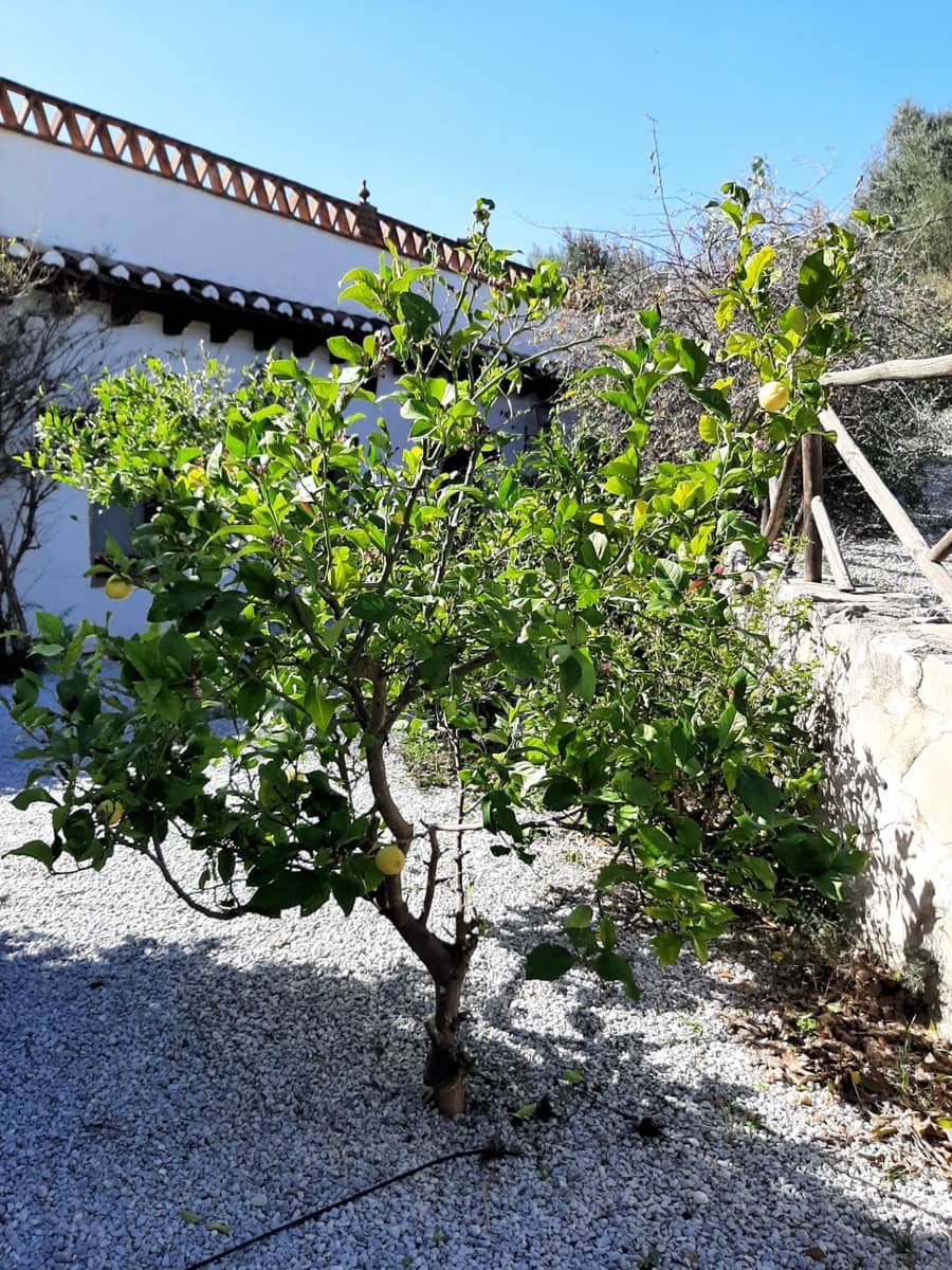 3 bedroom Finca/Country House for sale in Alcaucin with pool - € 530,000 (Ref: 9541657)