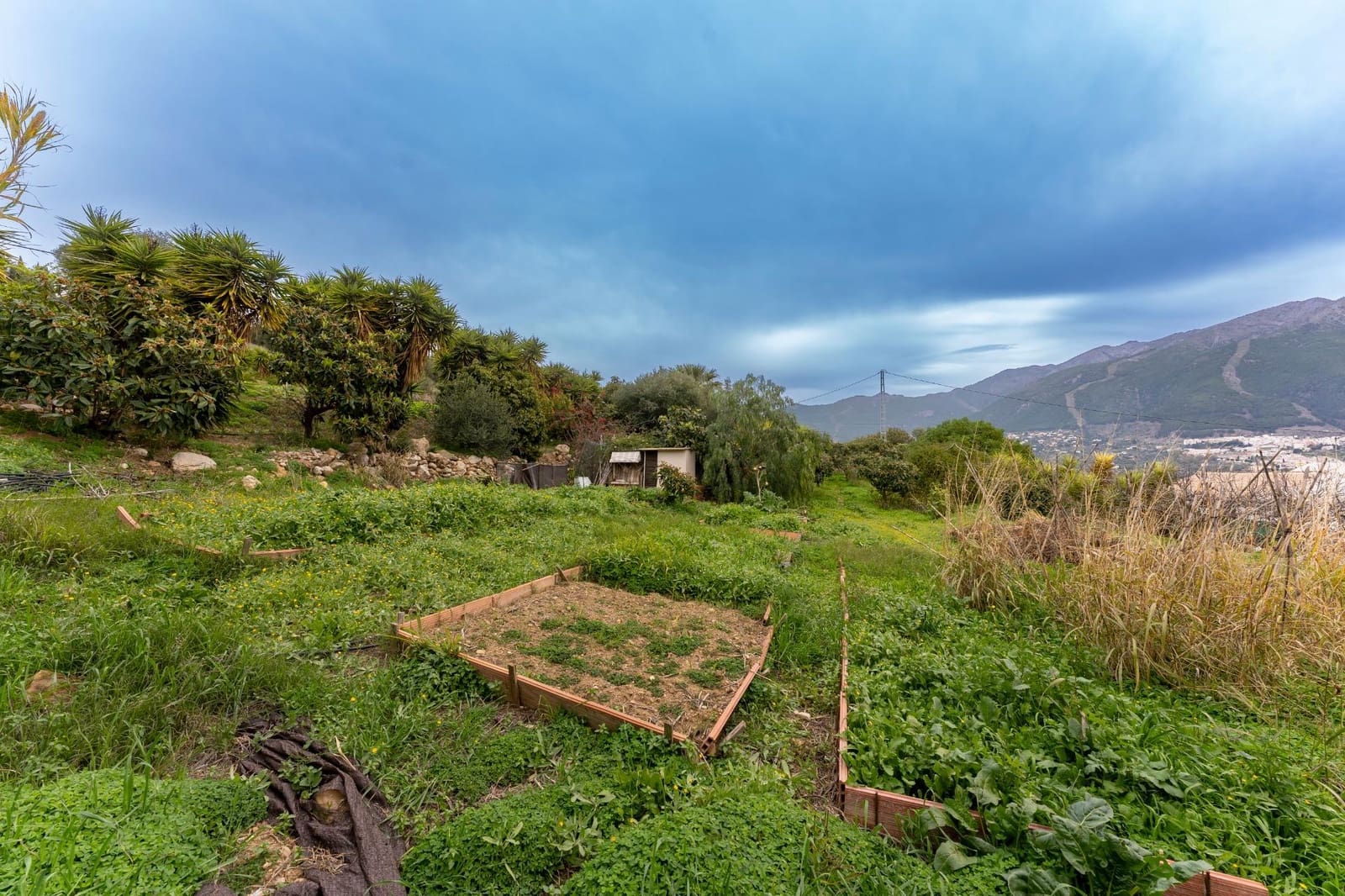 3 bedroom Finca/Country House for sale in Alcaucin with pool - € 530,000 (Ref: 9541657)
