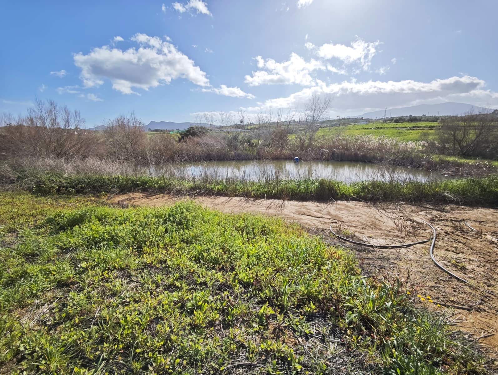 3 Zimmer Finca/Landgut zu verkaufen in Cartama mit Pool Garage - 470.000 € (Ref: 9562079)