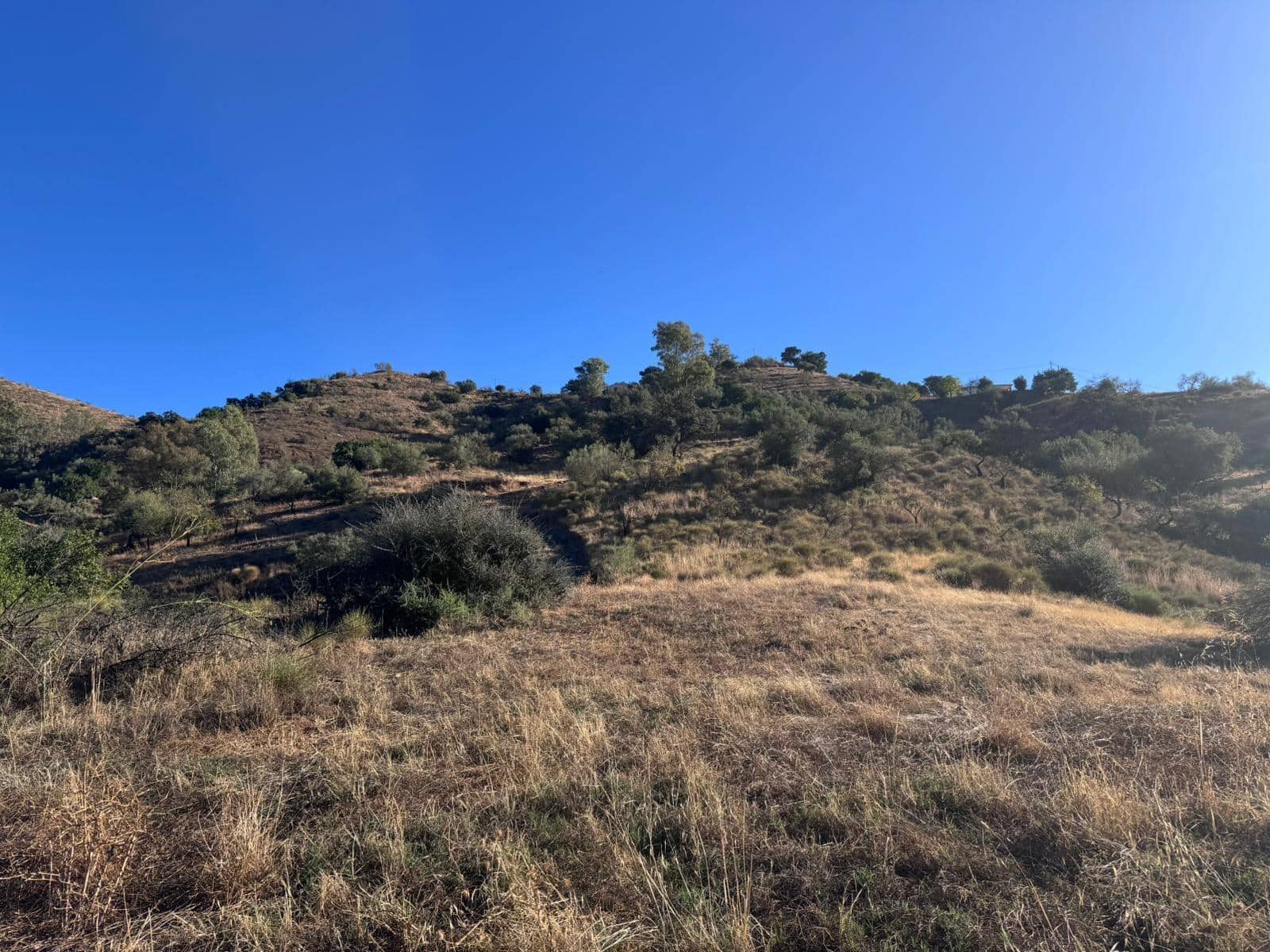 Building Plot for sale in Riogordo - € 299,000 (Ref: 9586742)