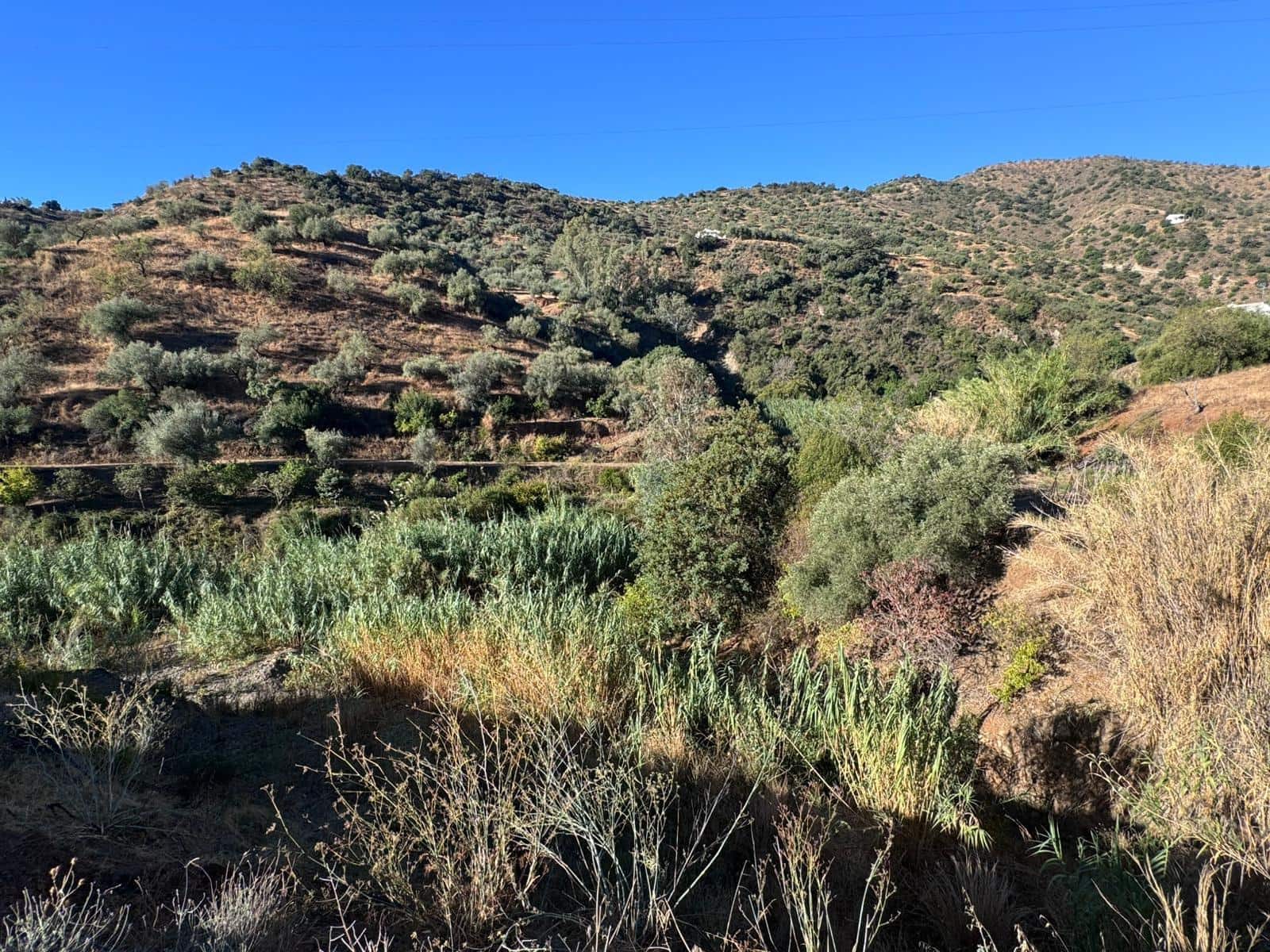 Building Plot for sale in Riogordo - € 299,000 (Ref: 9586742)