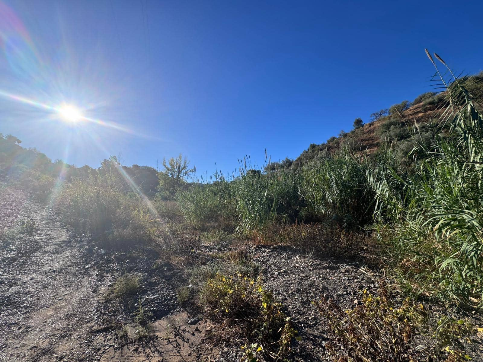 Building Plot for sale in Riogordo - € 299,000 (Ref: 9586742)