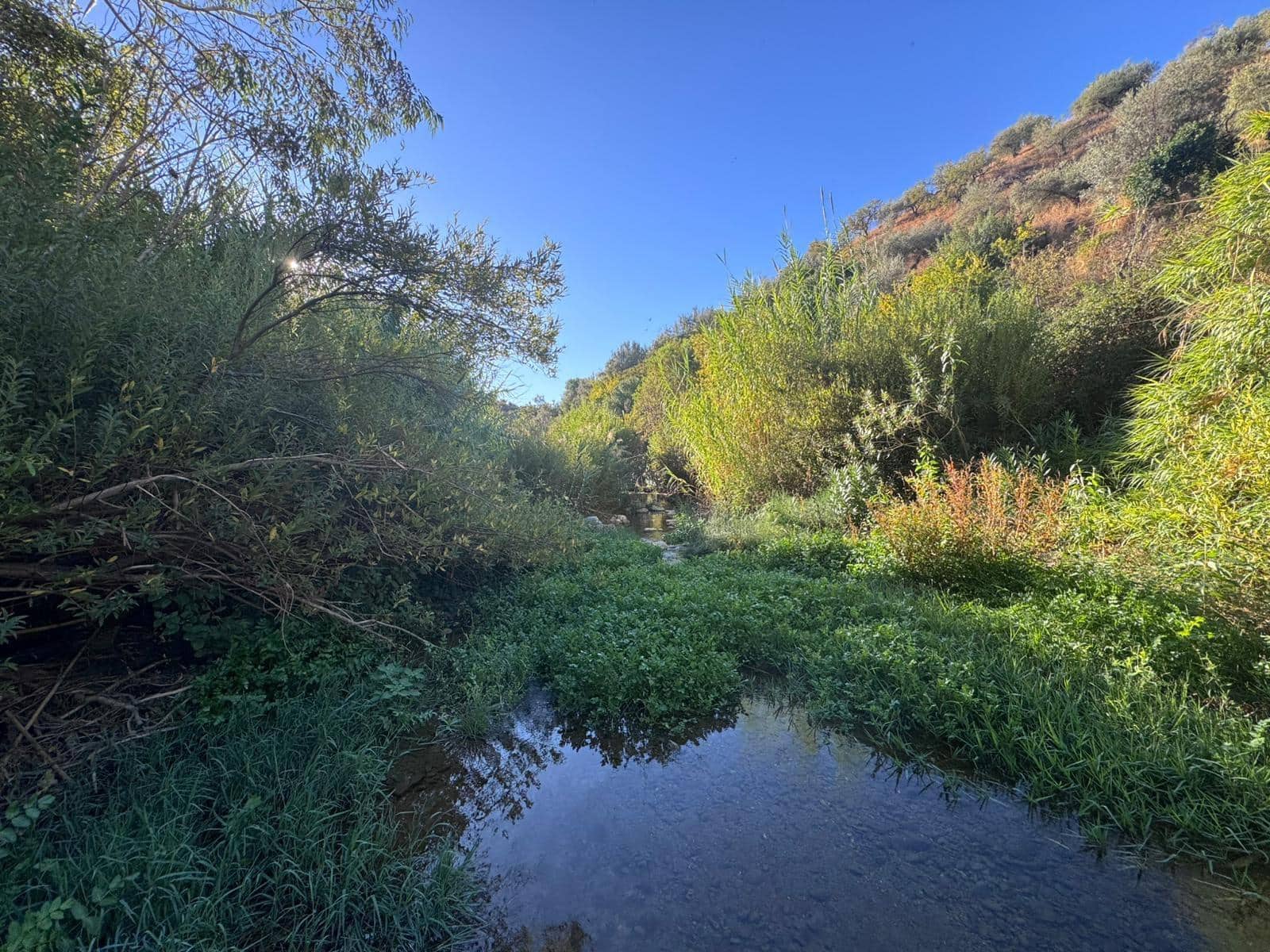 Building Plot for sale in Riogordo - € 299,000 (Ref: 9586742)