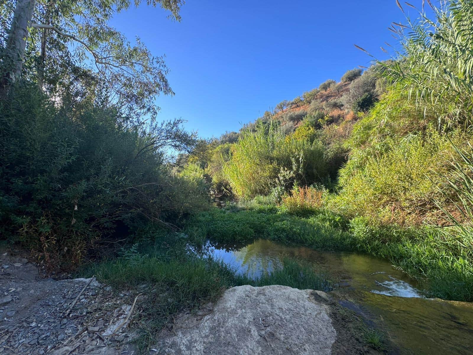 Building Plot for sale in Riogordo - € 299,000 (Ref: 9586742)