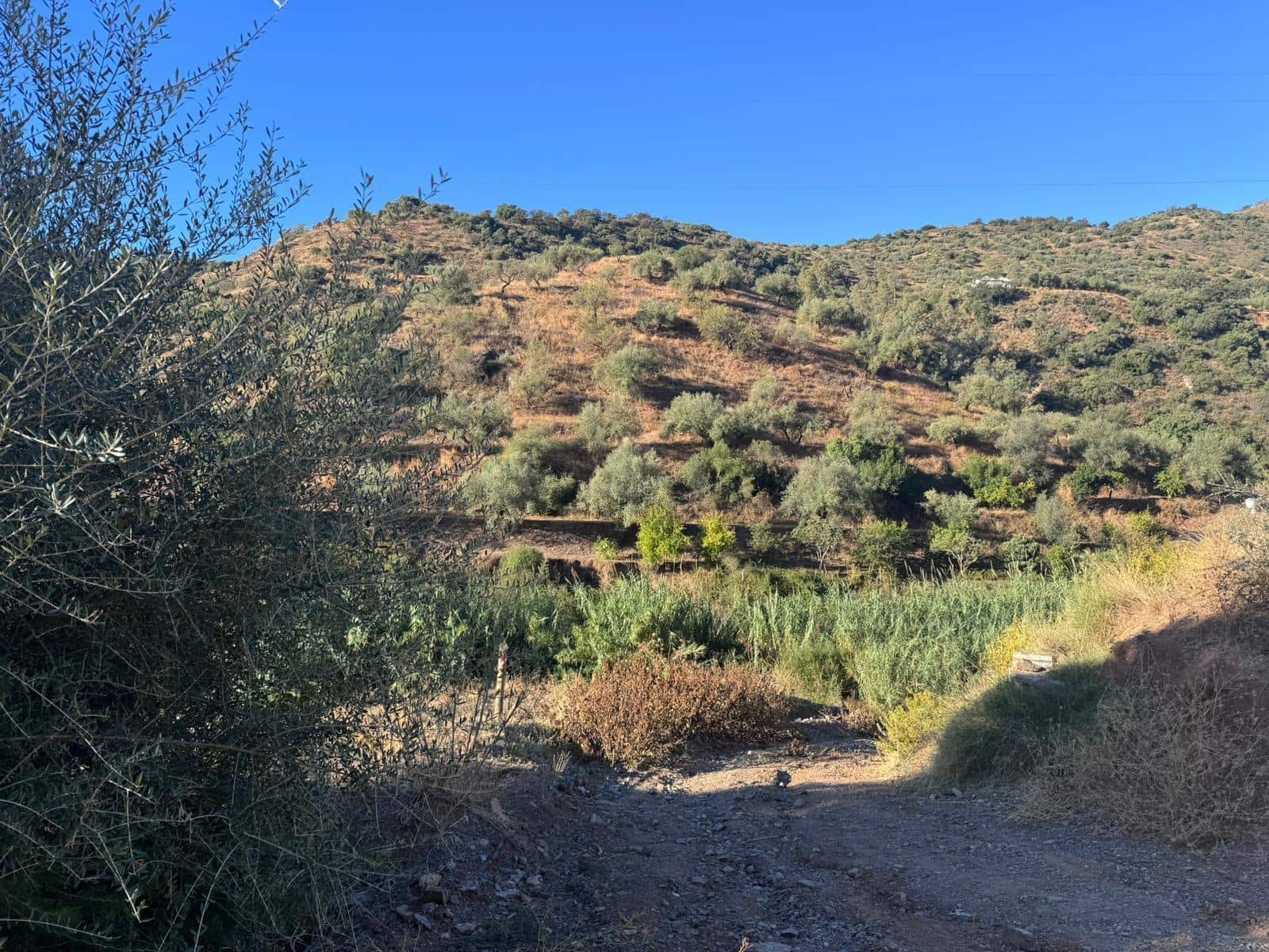 Building Plot for sale in Riogordo - € 299,000 (Ref: 9586742)